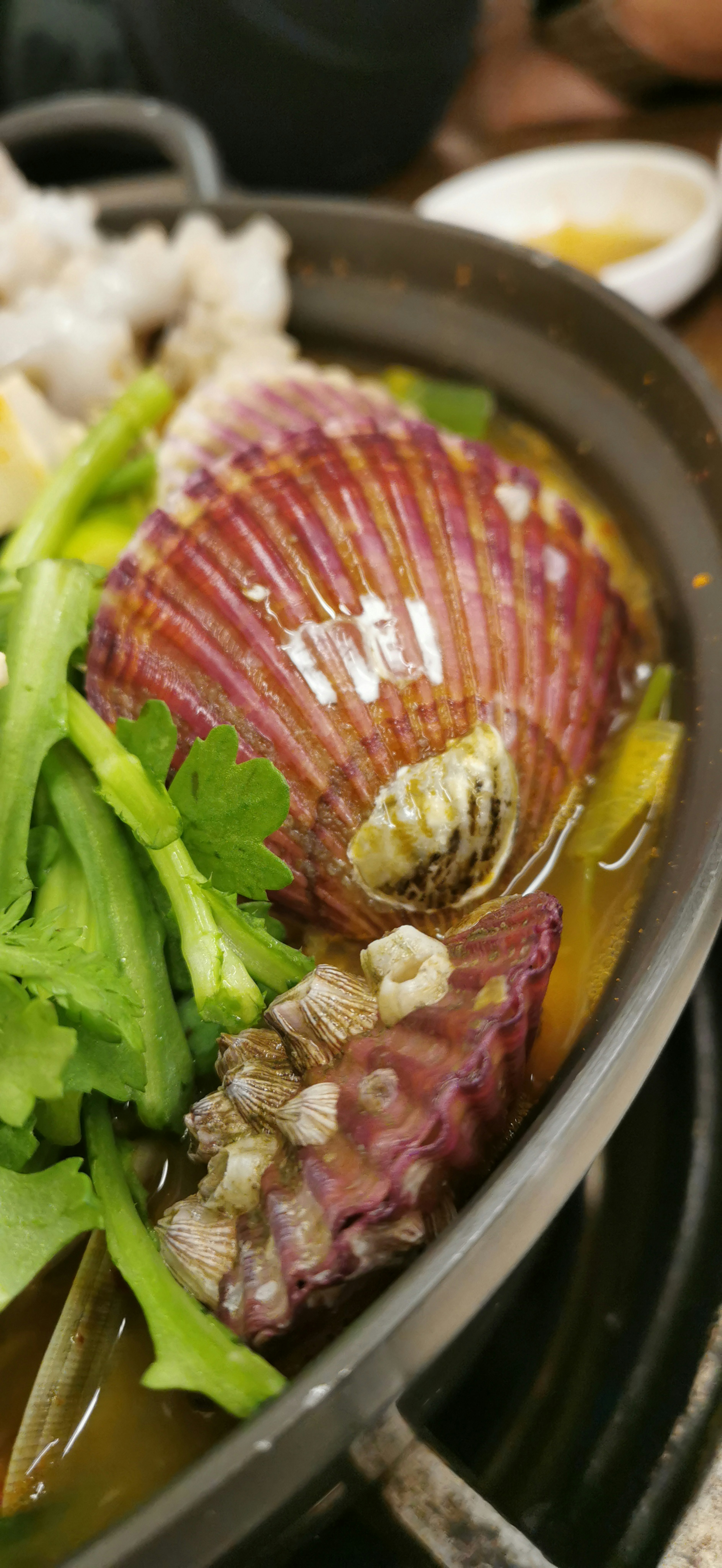 Close-up of a hotpot dish featuring fresh scallops and greens