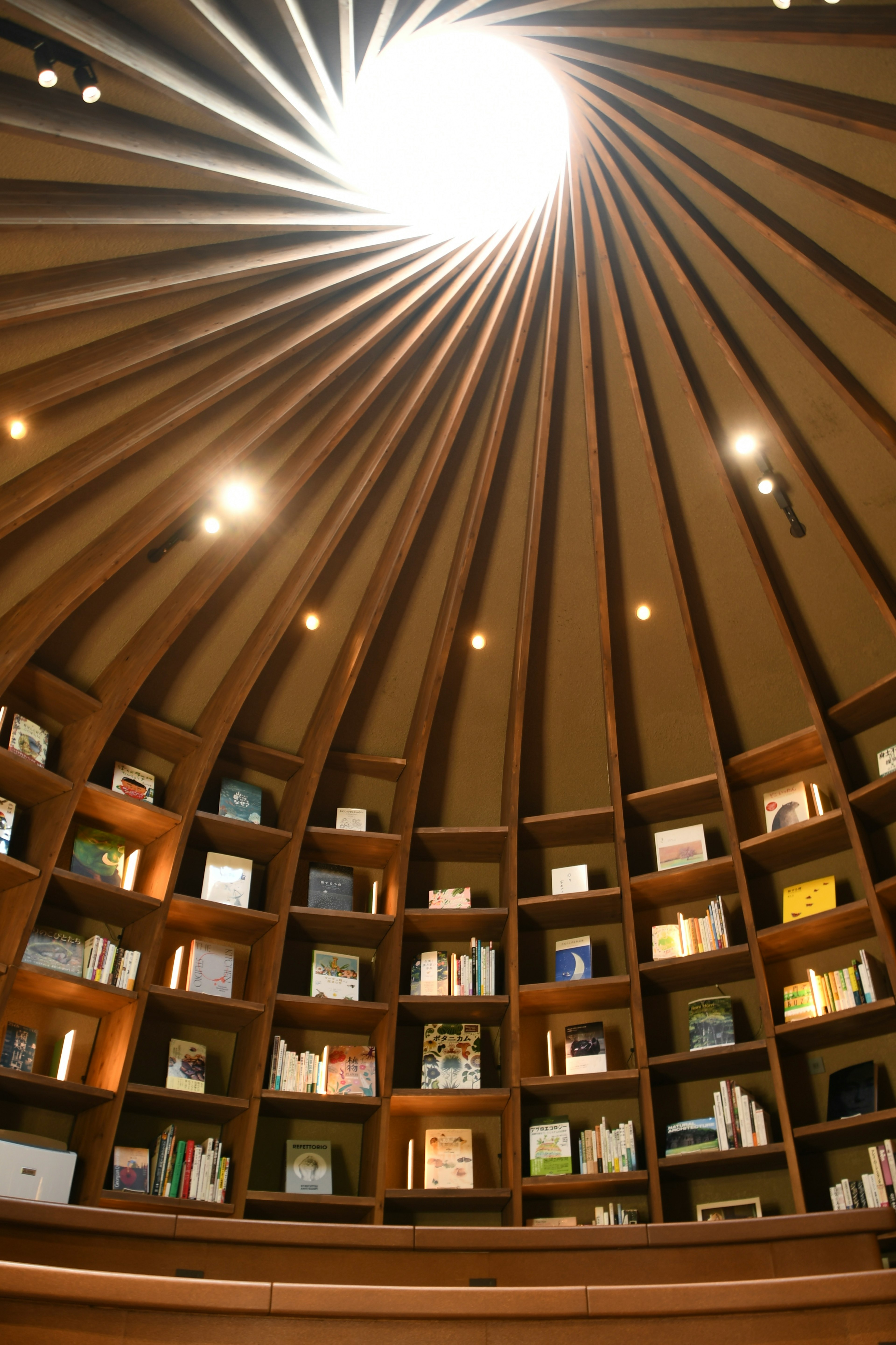 Interior of a circular library with wooden shelves filled with books and light streaming from the ceiling