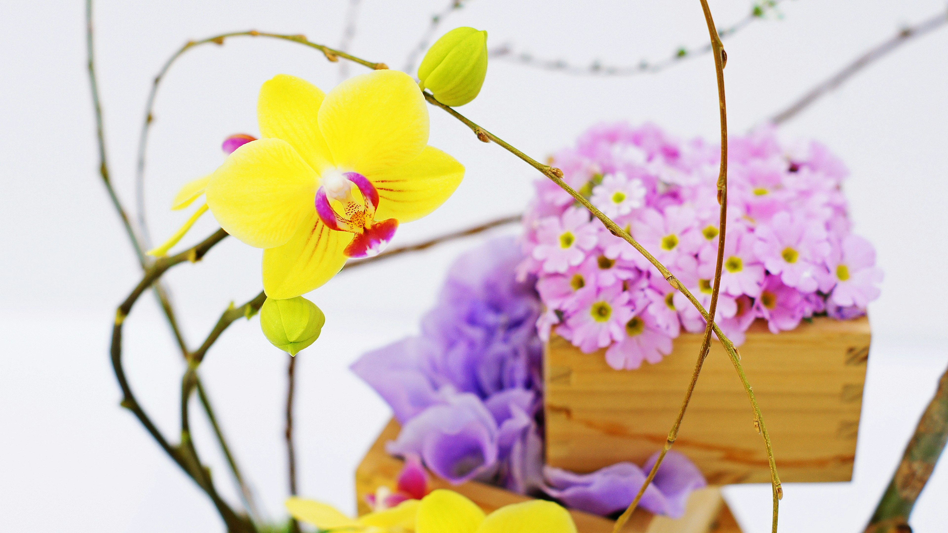 Anordnung von gelben Orchideen und lila Blumen in Holzkisten