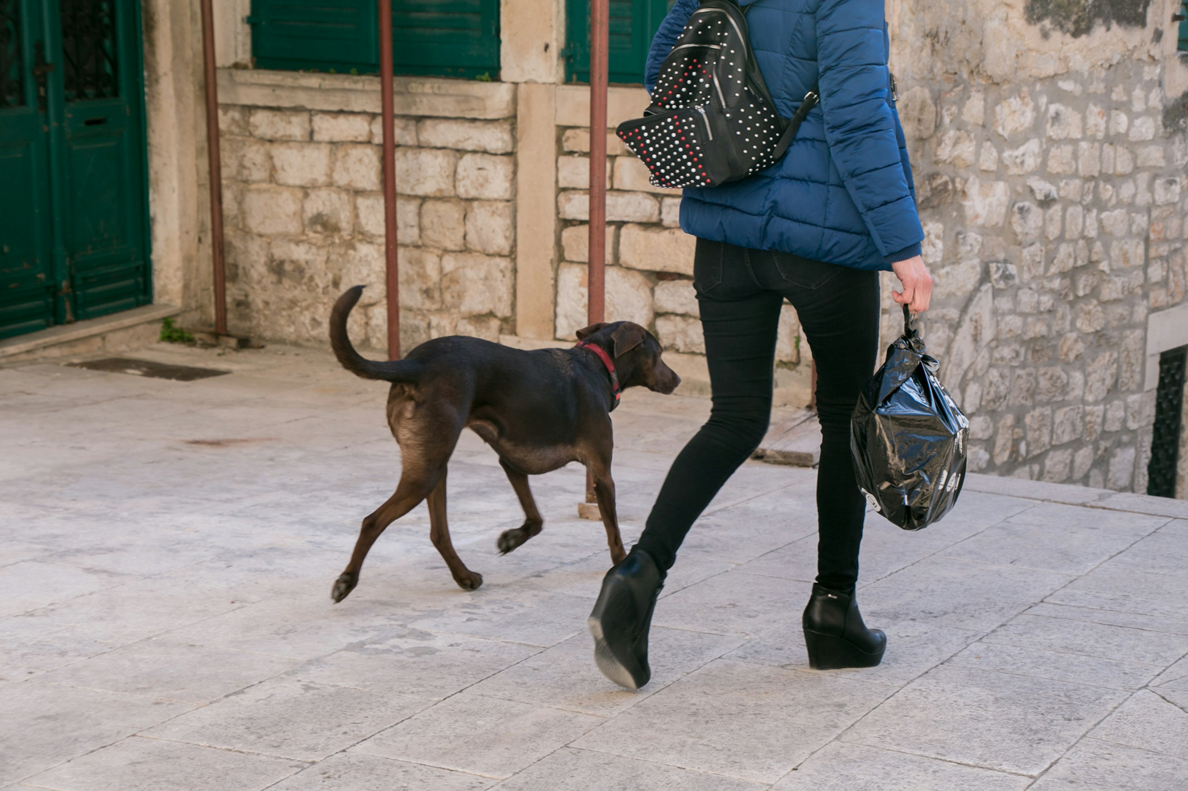 A woman in a blue jacket walking a dog in a city setting