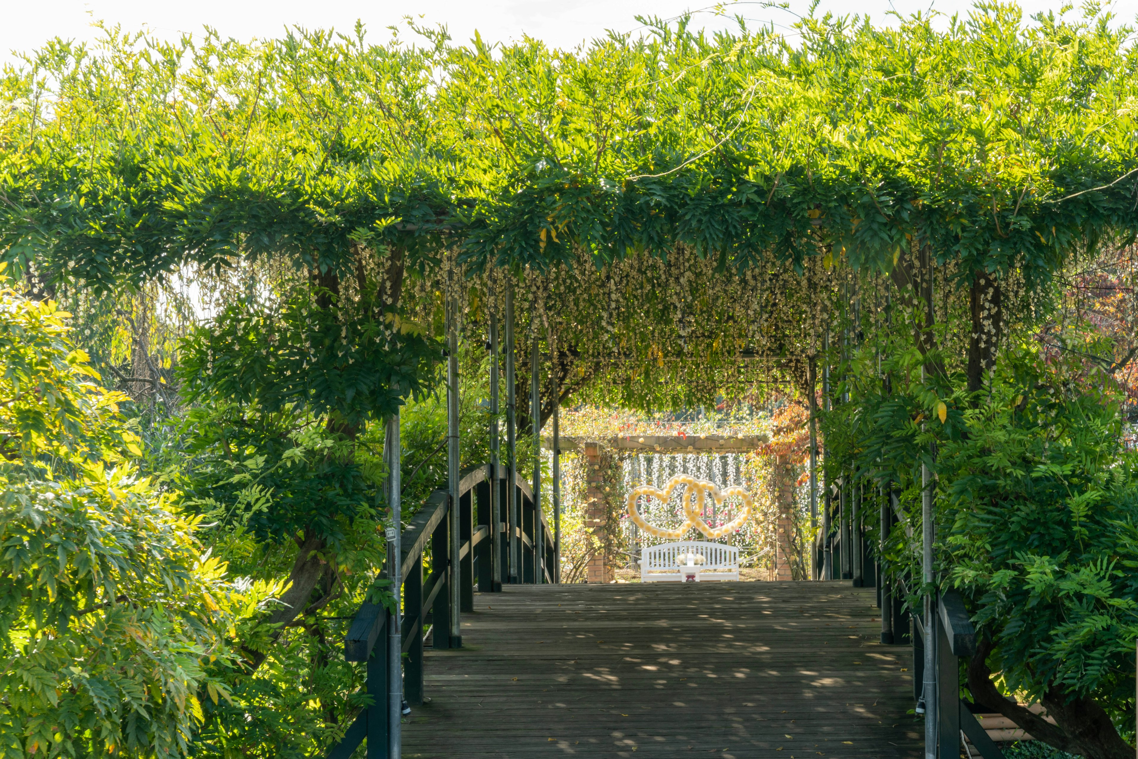 Wooden bridge surrounded by green leaves leading to a gate