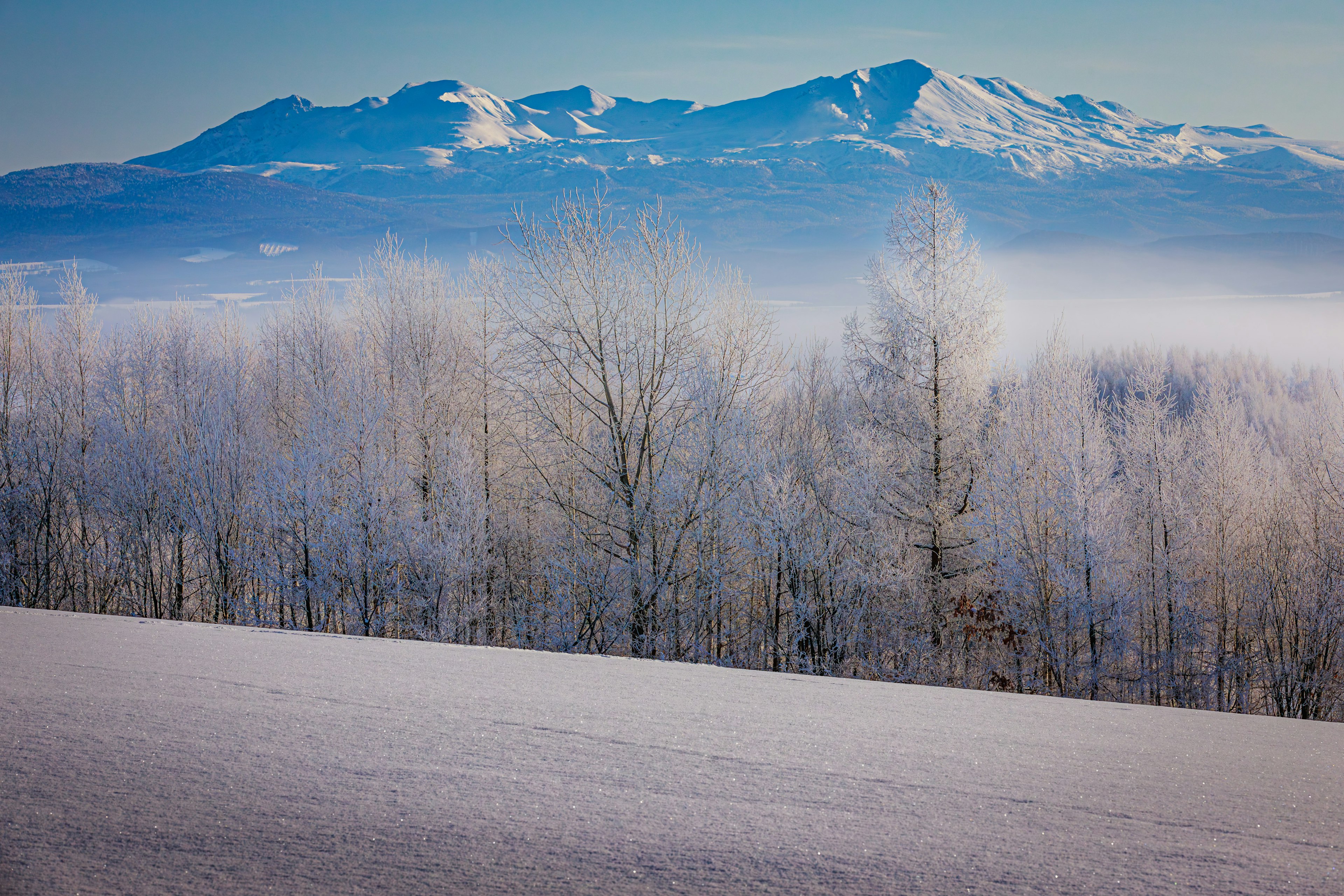 雪に覆われた山々と霧に包まれた木々の風景