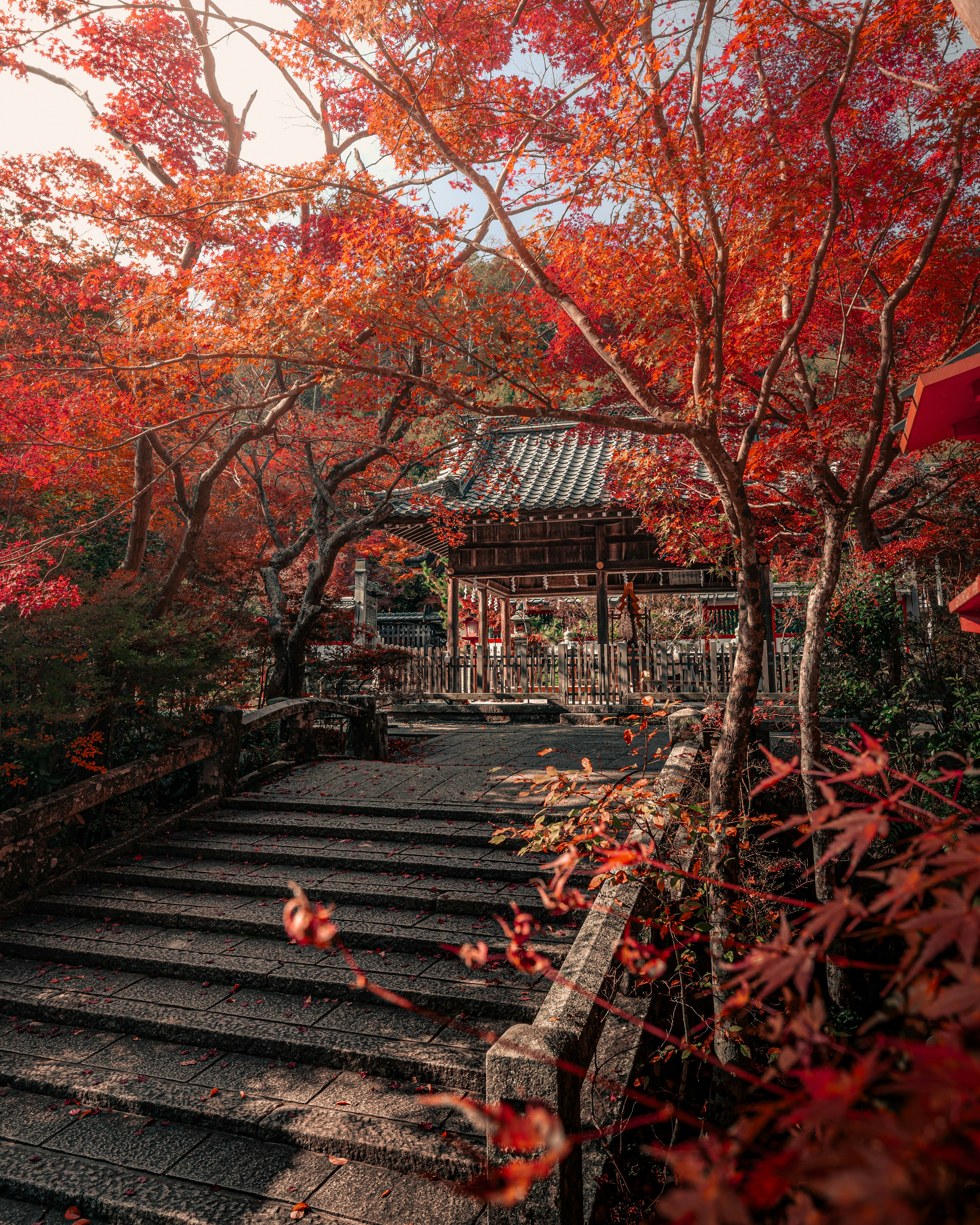 赤い葉の木々に囲まれた石の階段と古い建物の風景