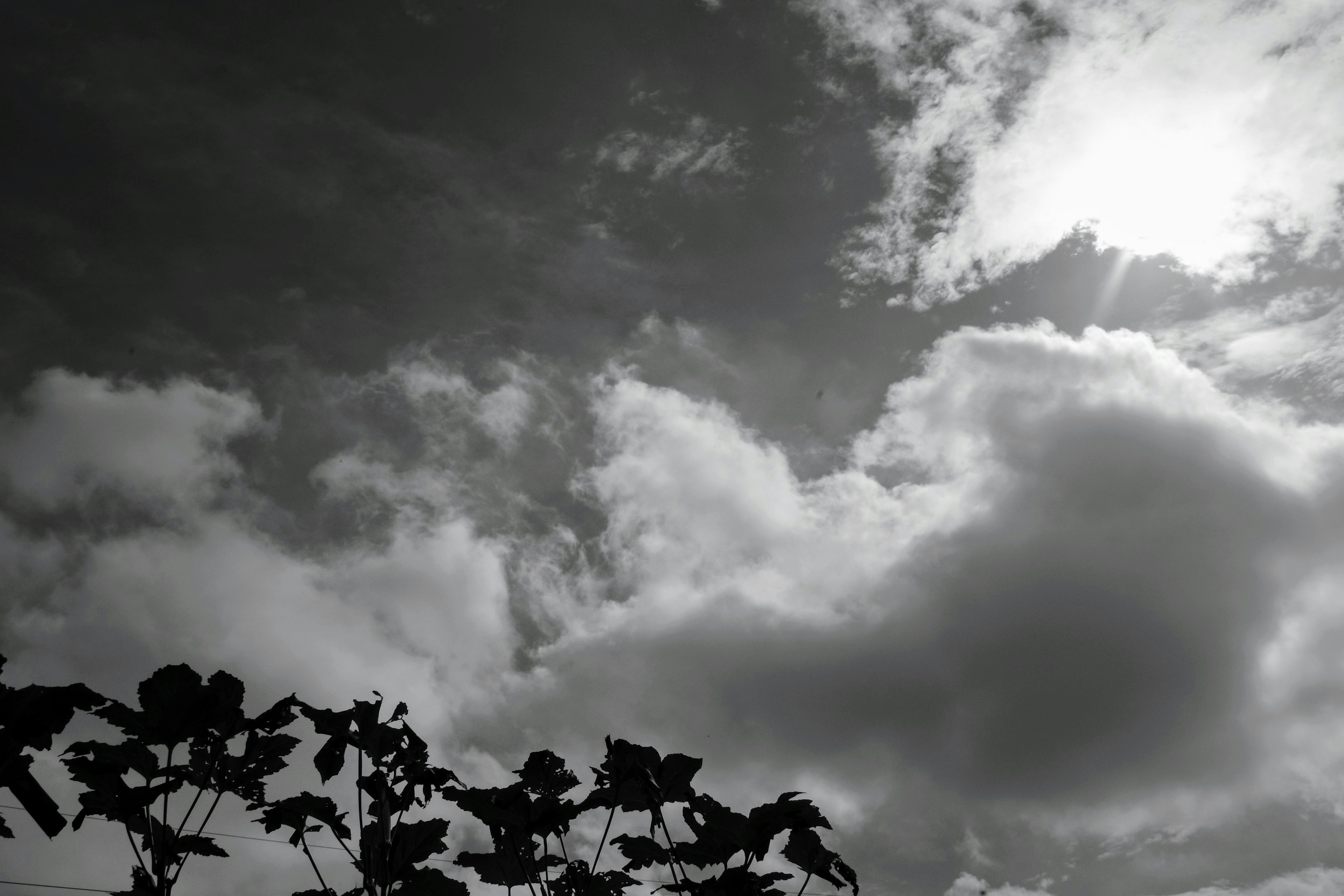 Kontrastierende schwarz-weiße Wolken mit Sonnenlicht