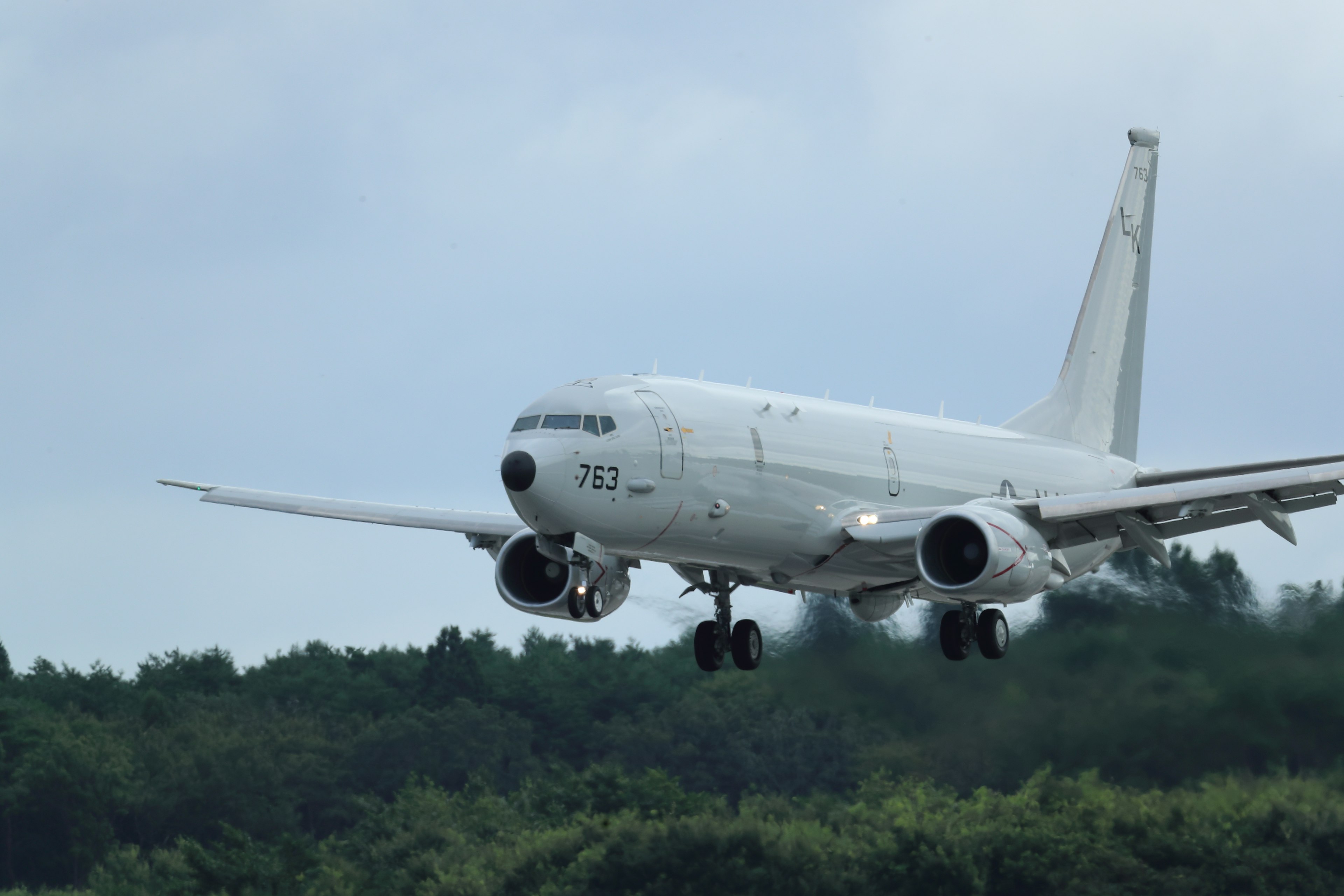 Avion blanc atterrissant sur la piste