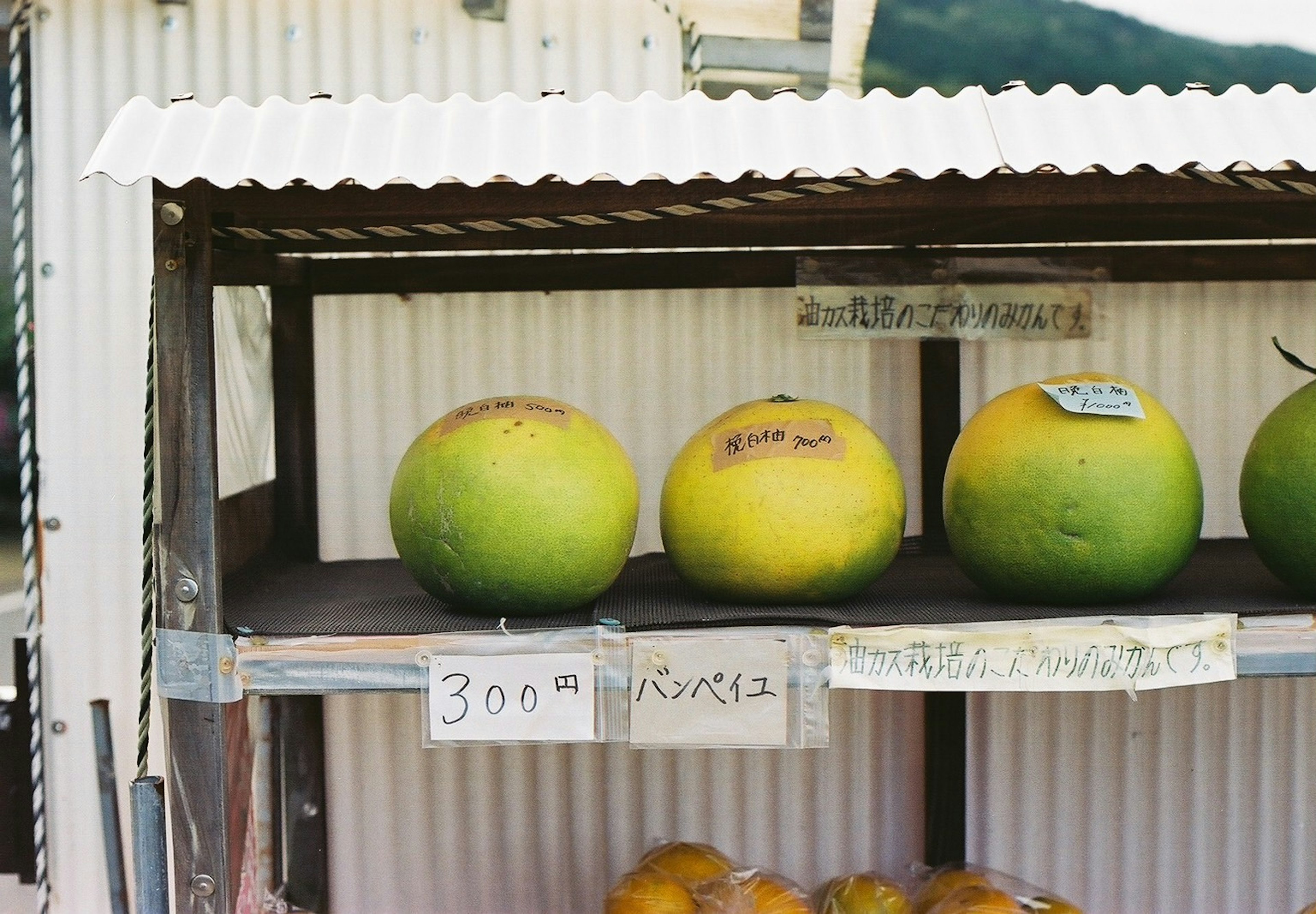 Une photo d'une étagère affichant de grands fruits verts et jaunes