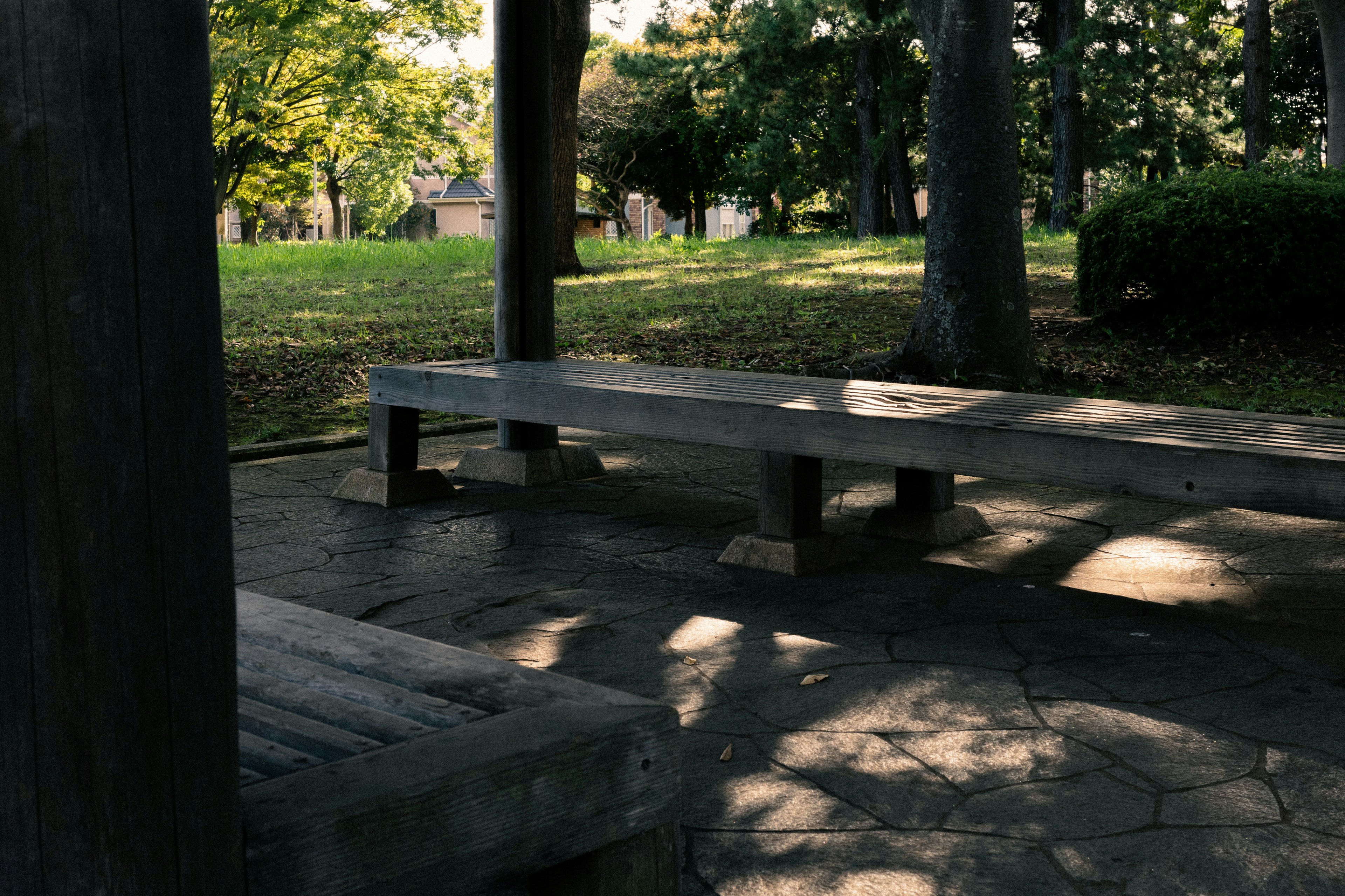 Wooden benches in a park with green scenery