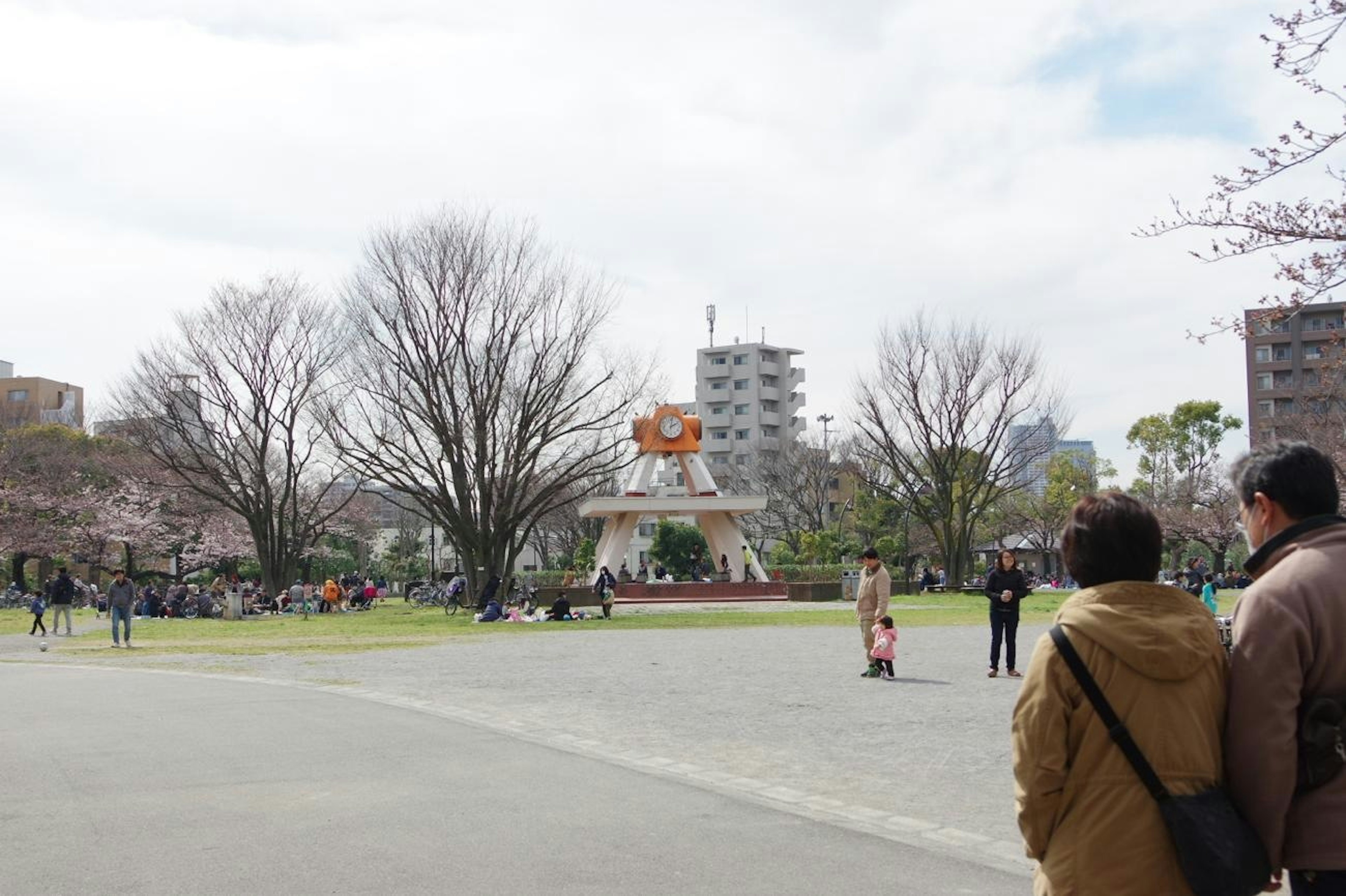 Park scene with cherry blossom trees and people gathering