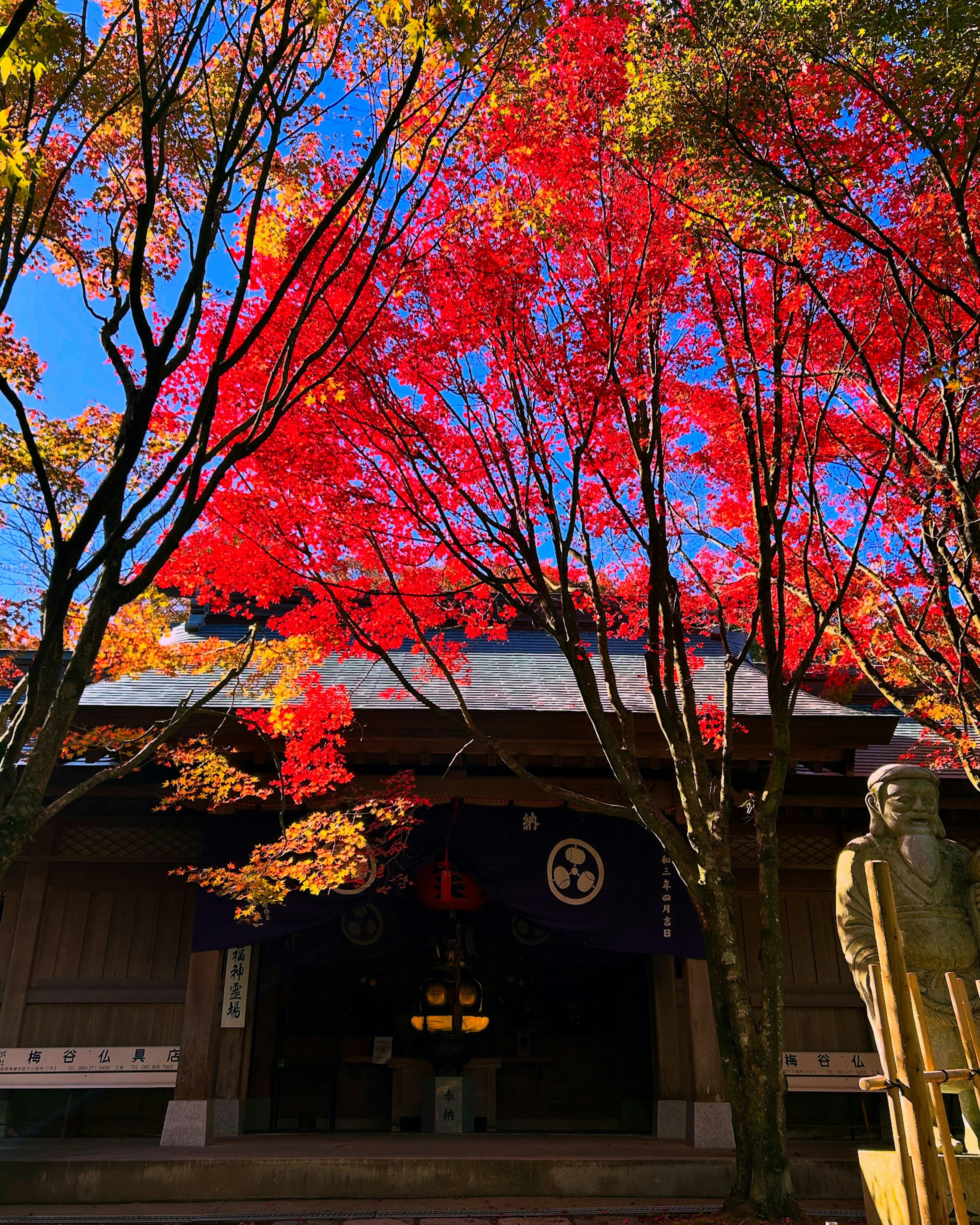 Entrada del templo rodeada de hojas de otoño vibrantes y cielo azul