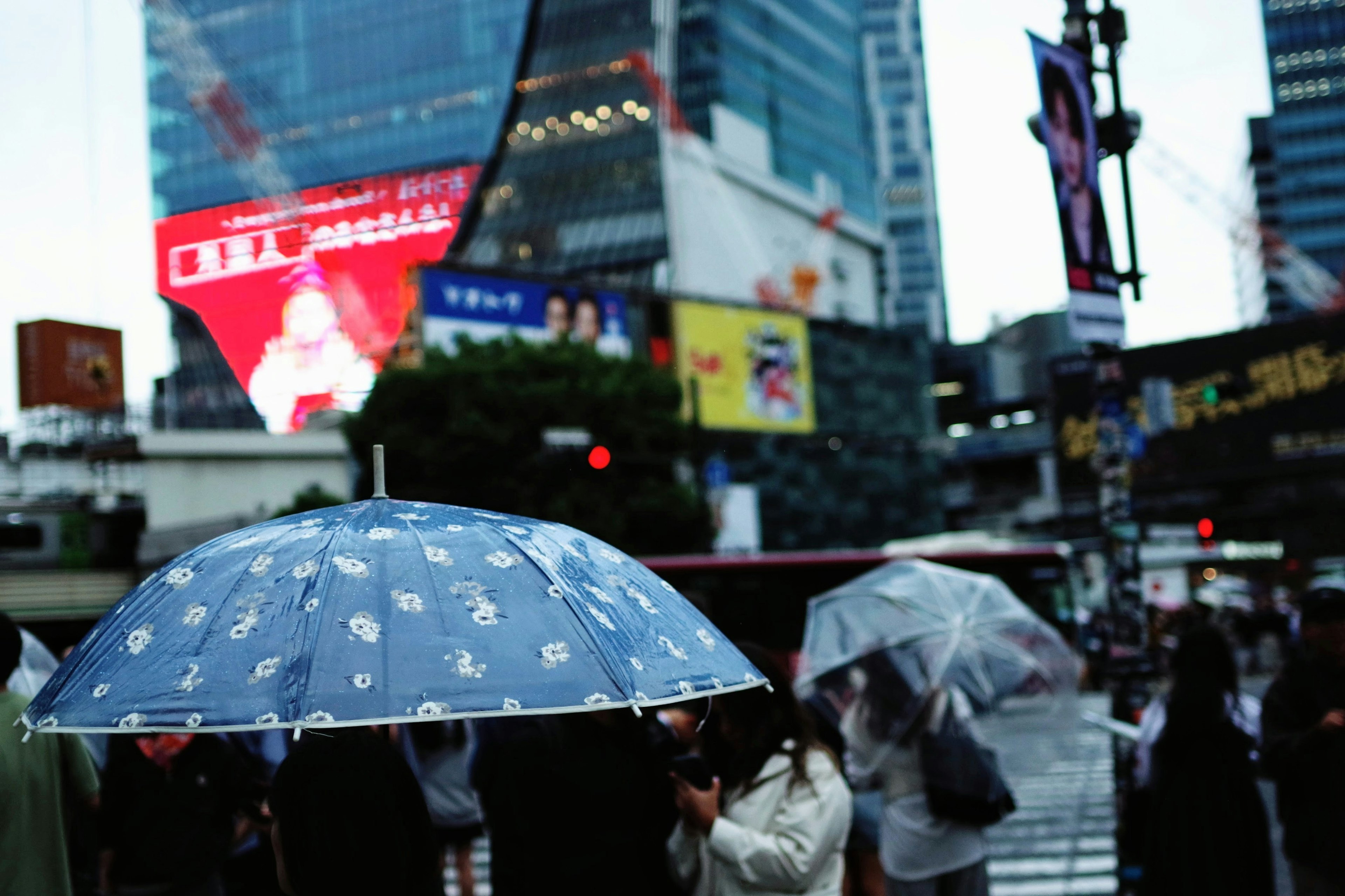 Menschenmenge mit blauen Regenschirmen im Regen und hellen Werbeanzeigen