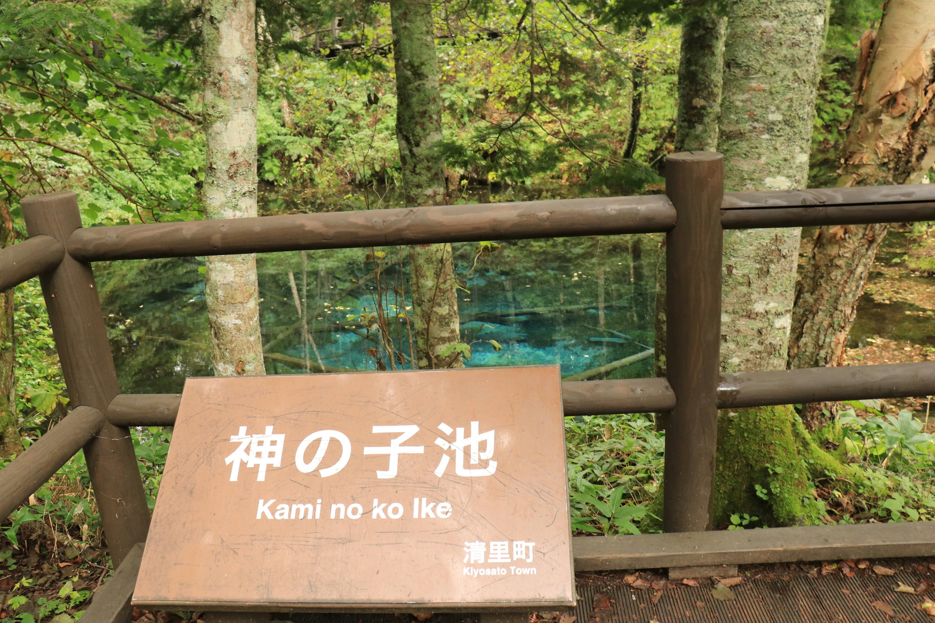 神の子池の看板と緑豊かな森林