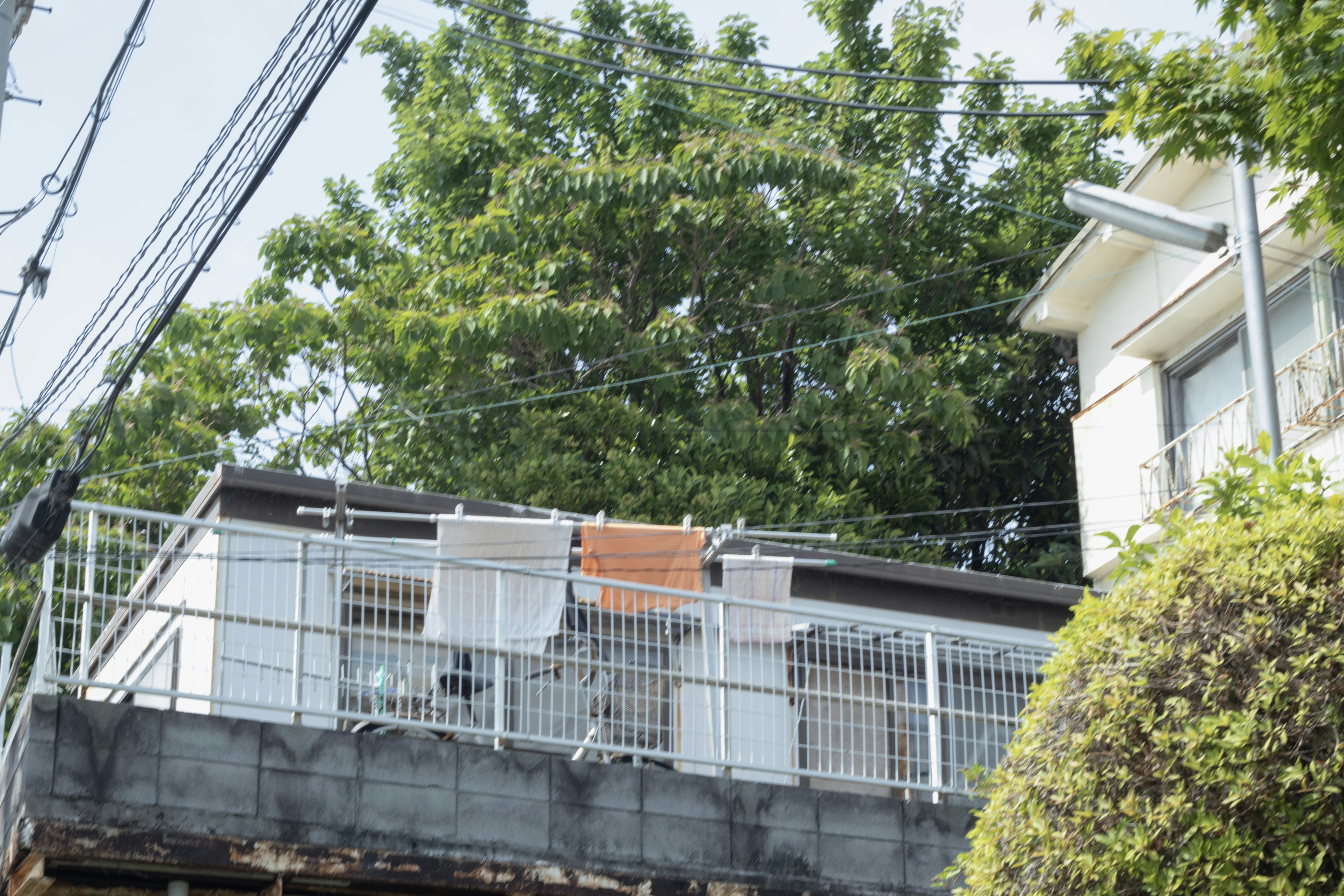 Laundry hanging on a balcony surrounded by lush green trees