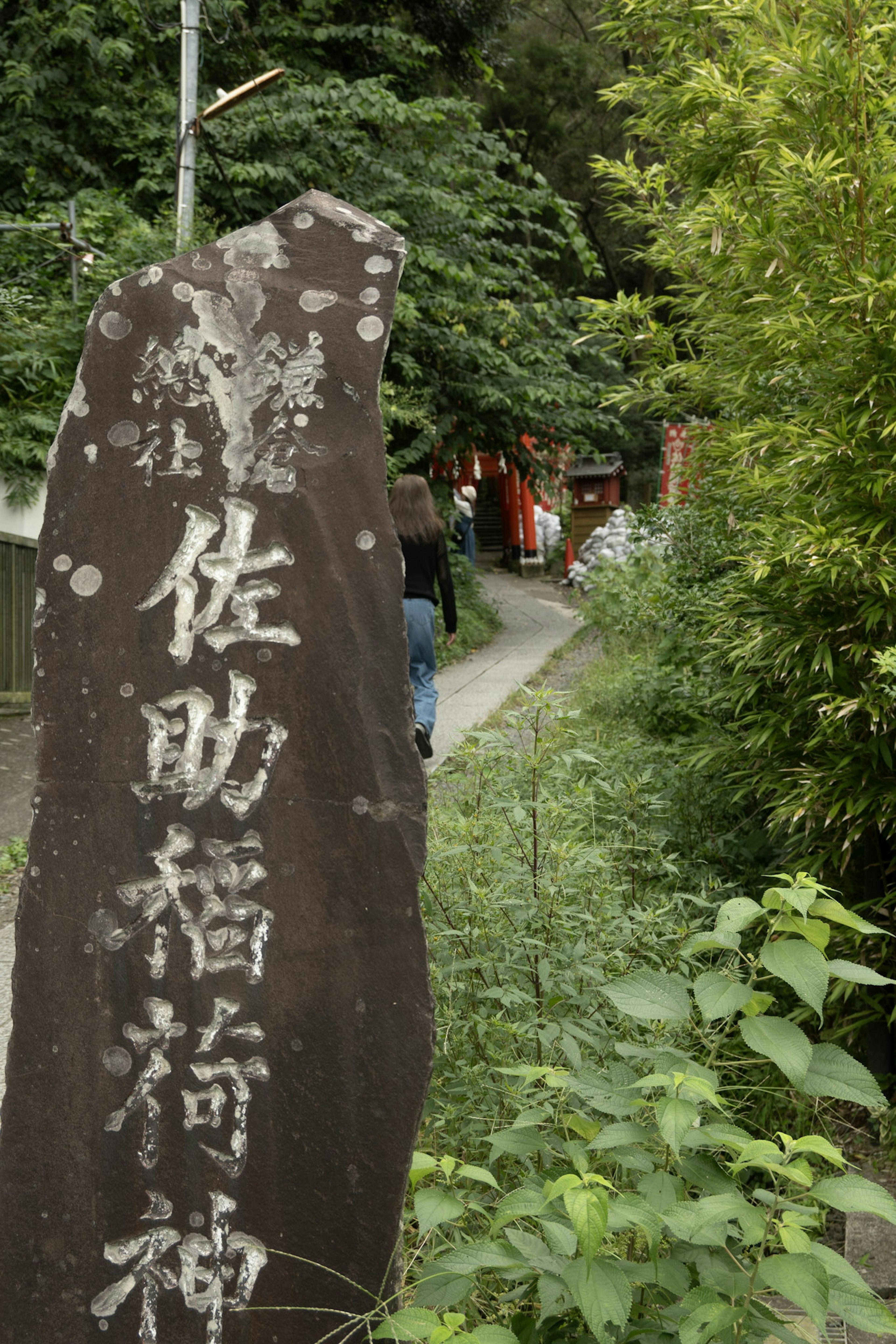 石の標識に書かれた佐助稲荷神社の名前周囲の緑豊かな自然