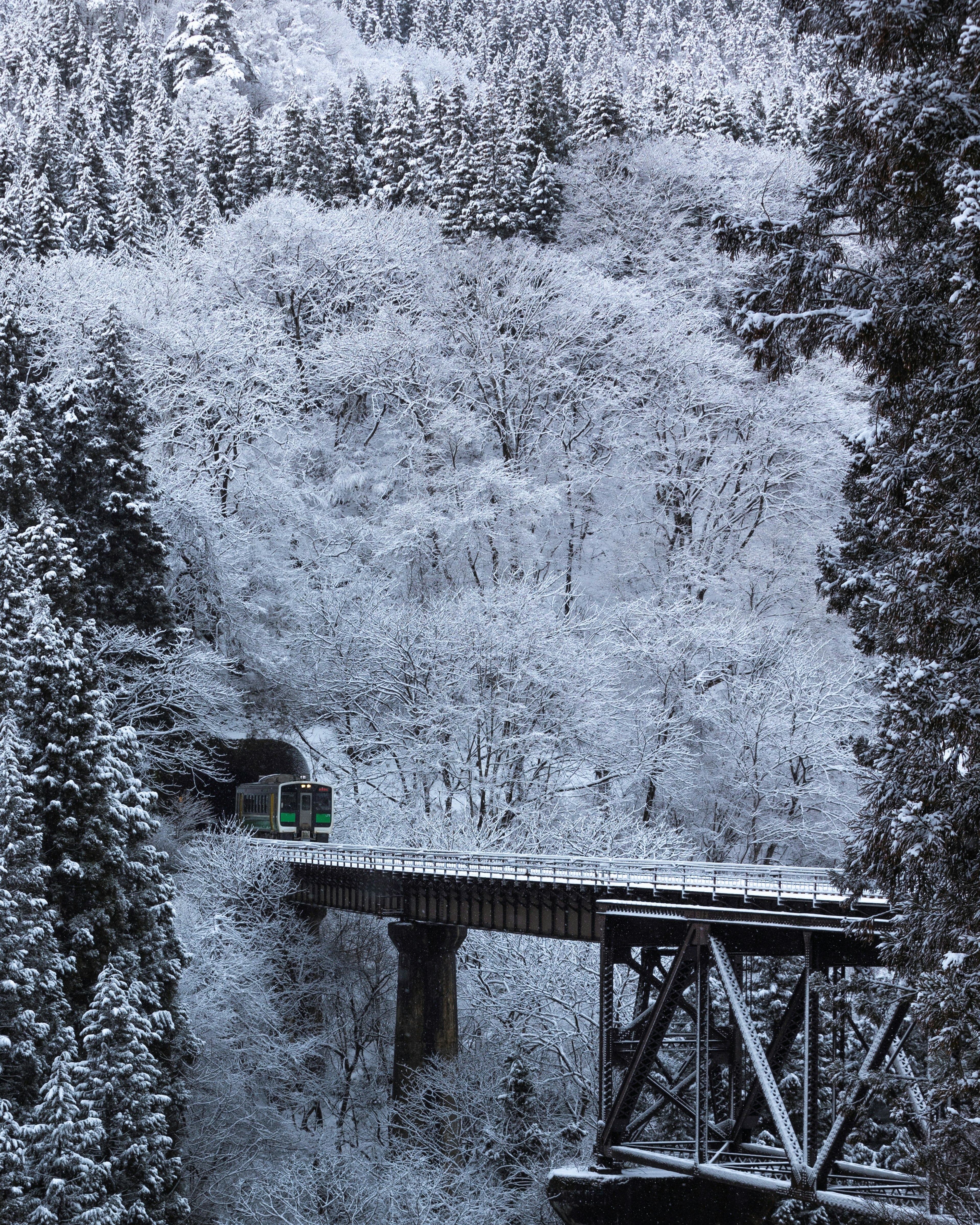 雪に覆われた山の中の鉄道橋と列車