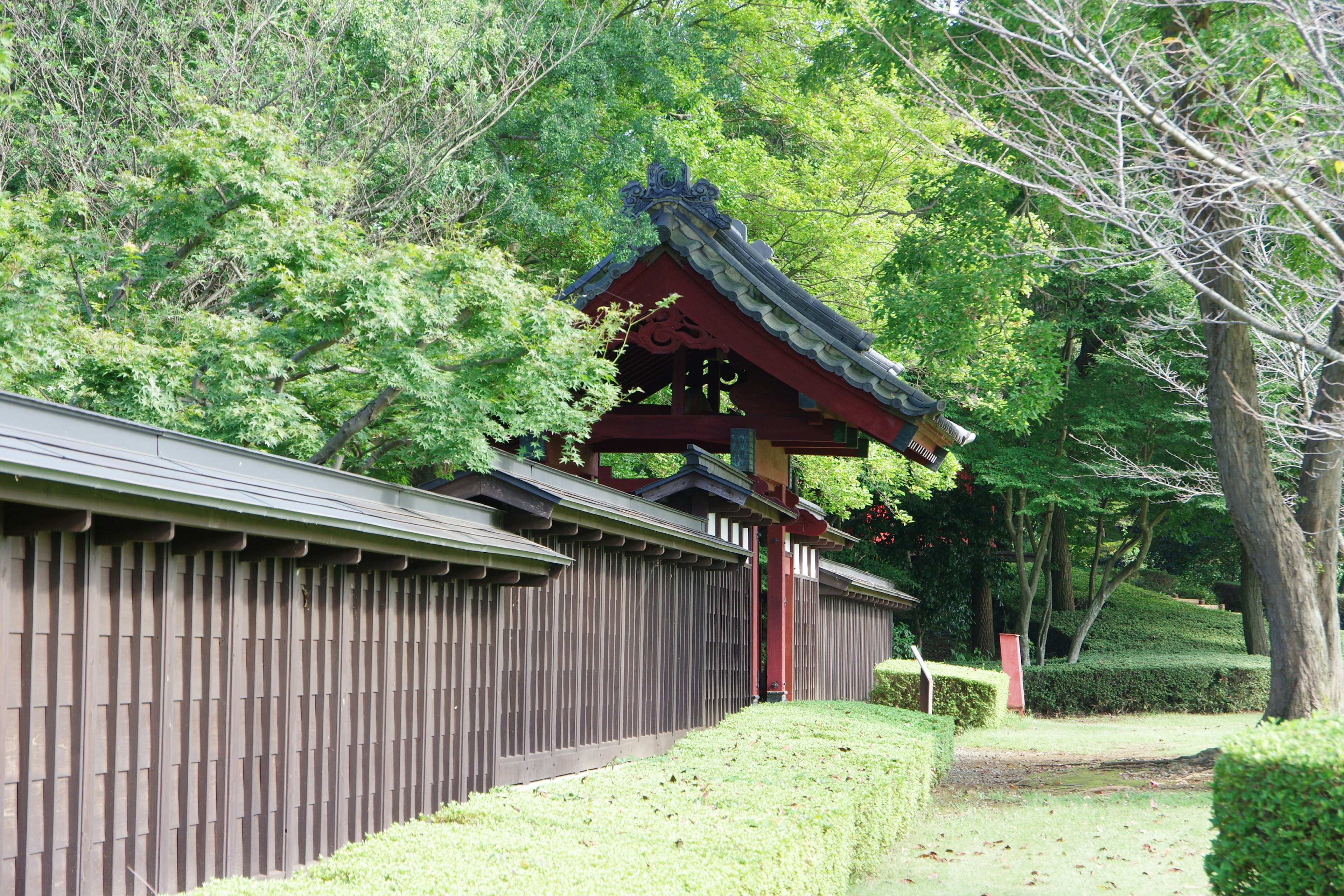 Traditionelles japanisches Tor und Holzwand umgeben von üppigem Grün