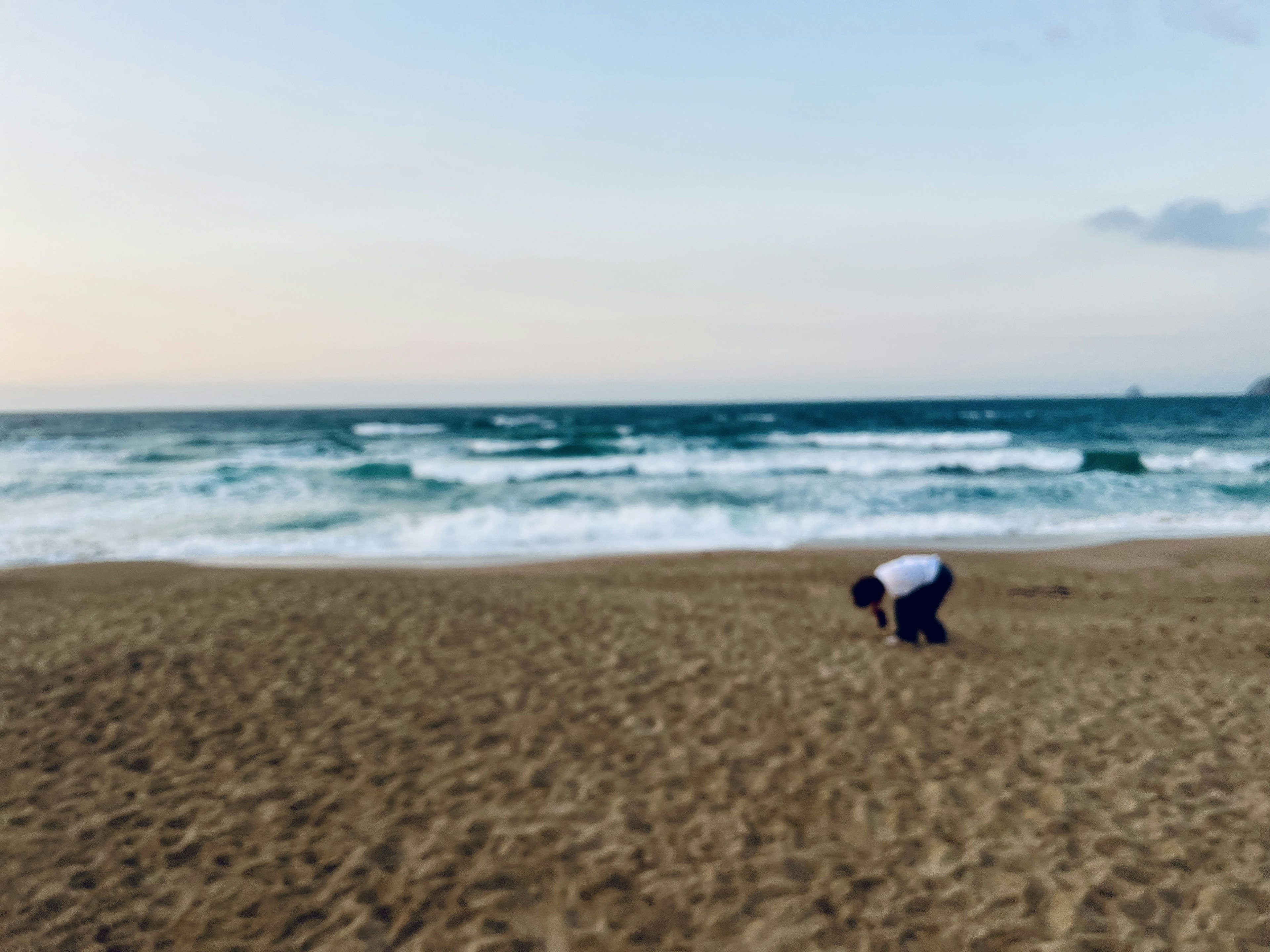 A person bending down on the sandy beach looking for something with the ocean in the background