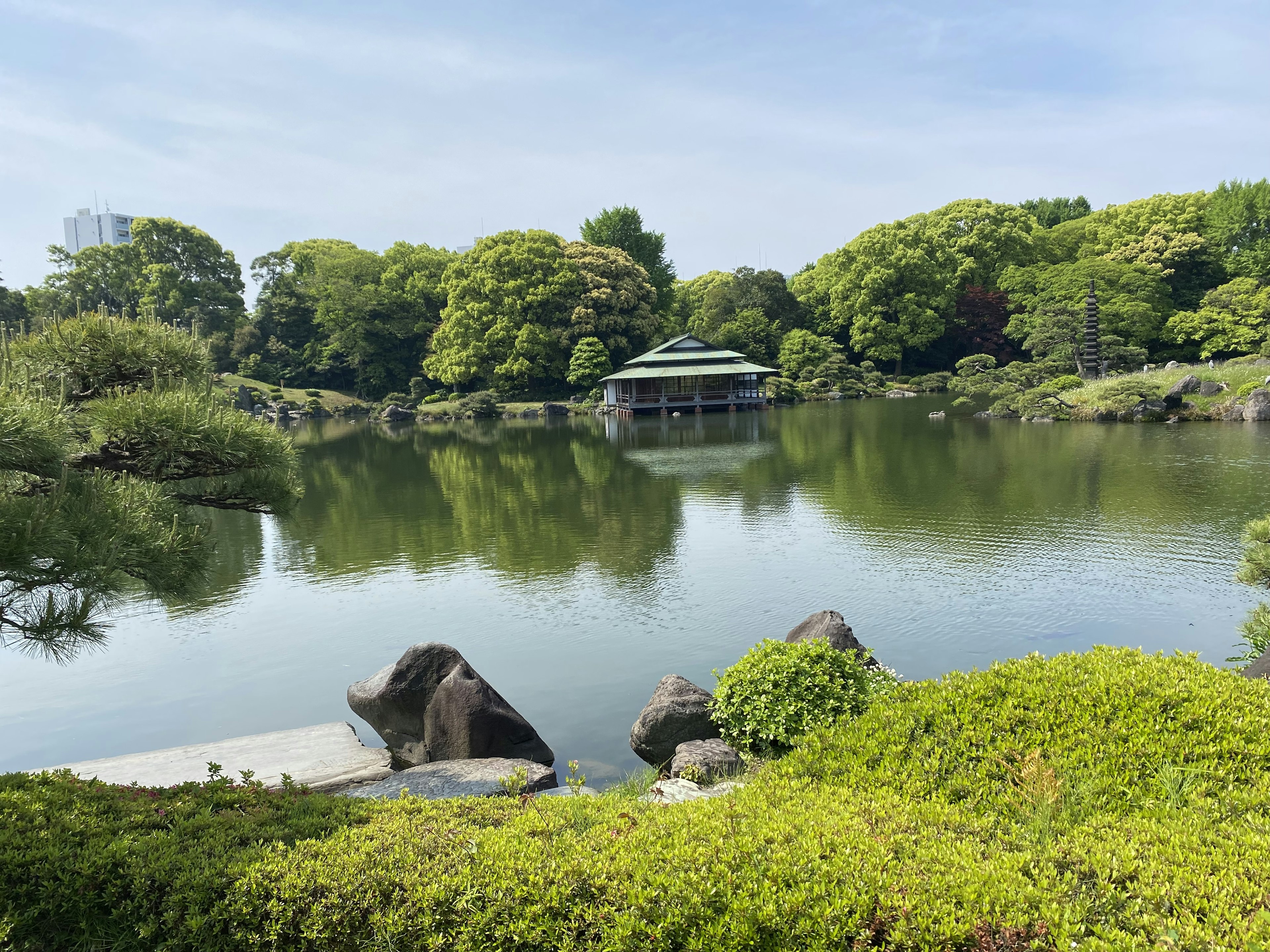 Jardin japonais tranquille avec un étang et une verdure luxuriante