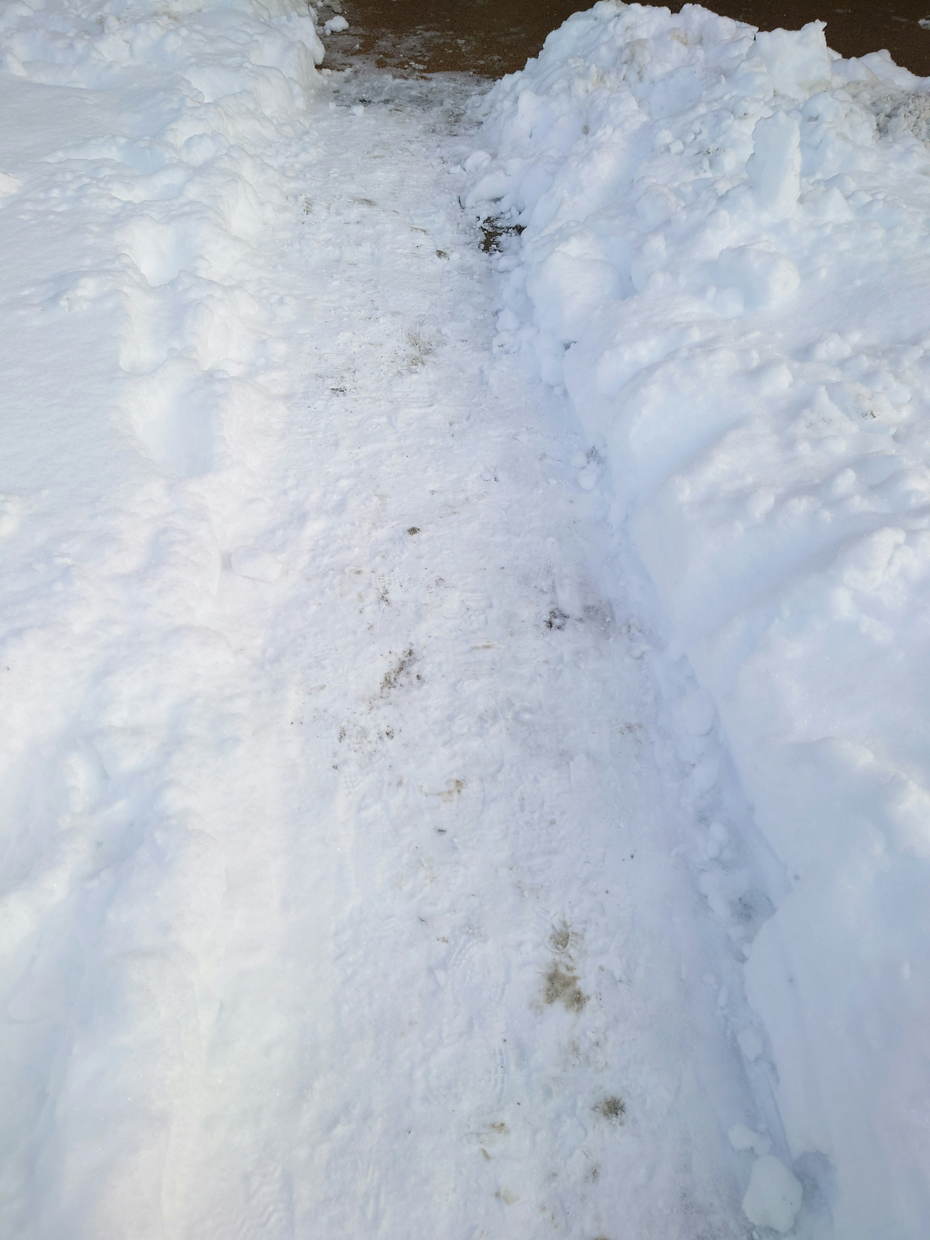 Allée dégagée de neige avec des murs de neige de chaque côté montrant un étroit sentier de terre