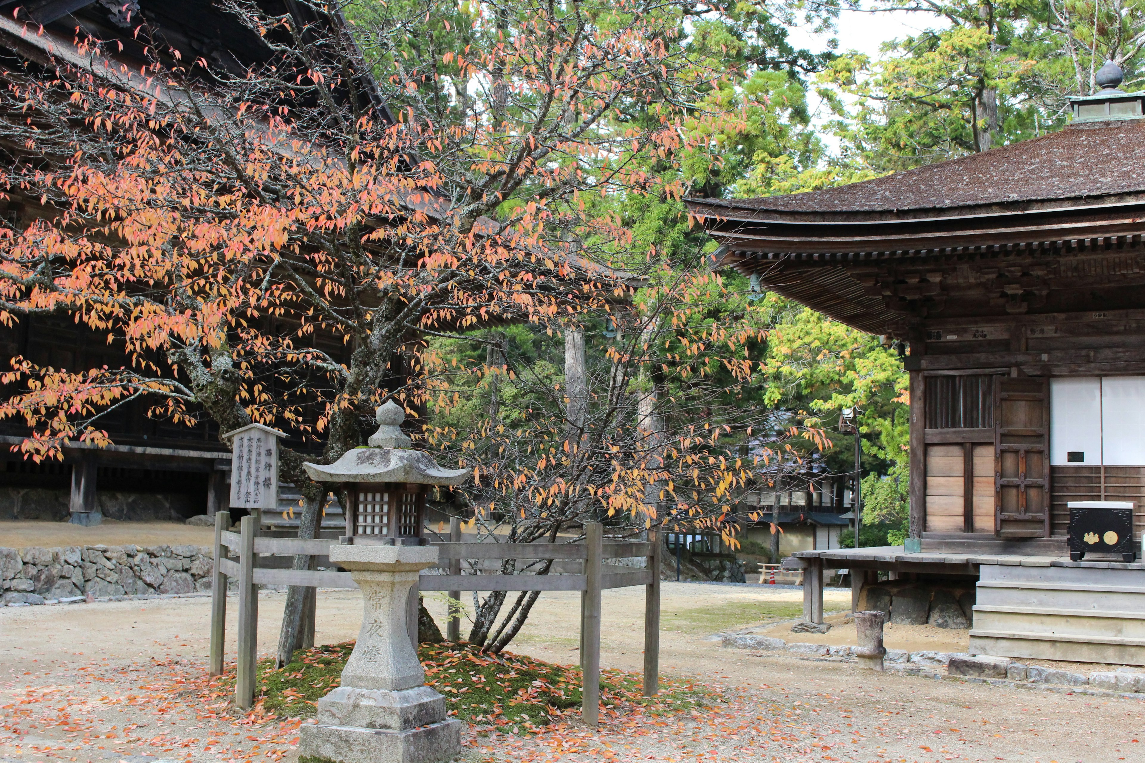 秋の紅葉と古い寺院の風景にある石灯篭