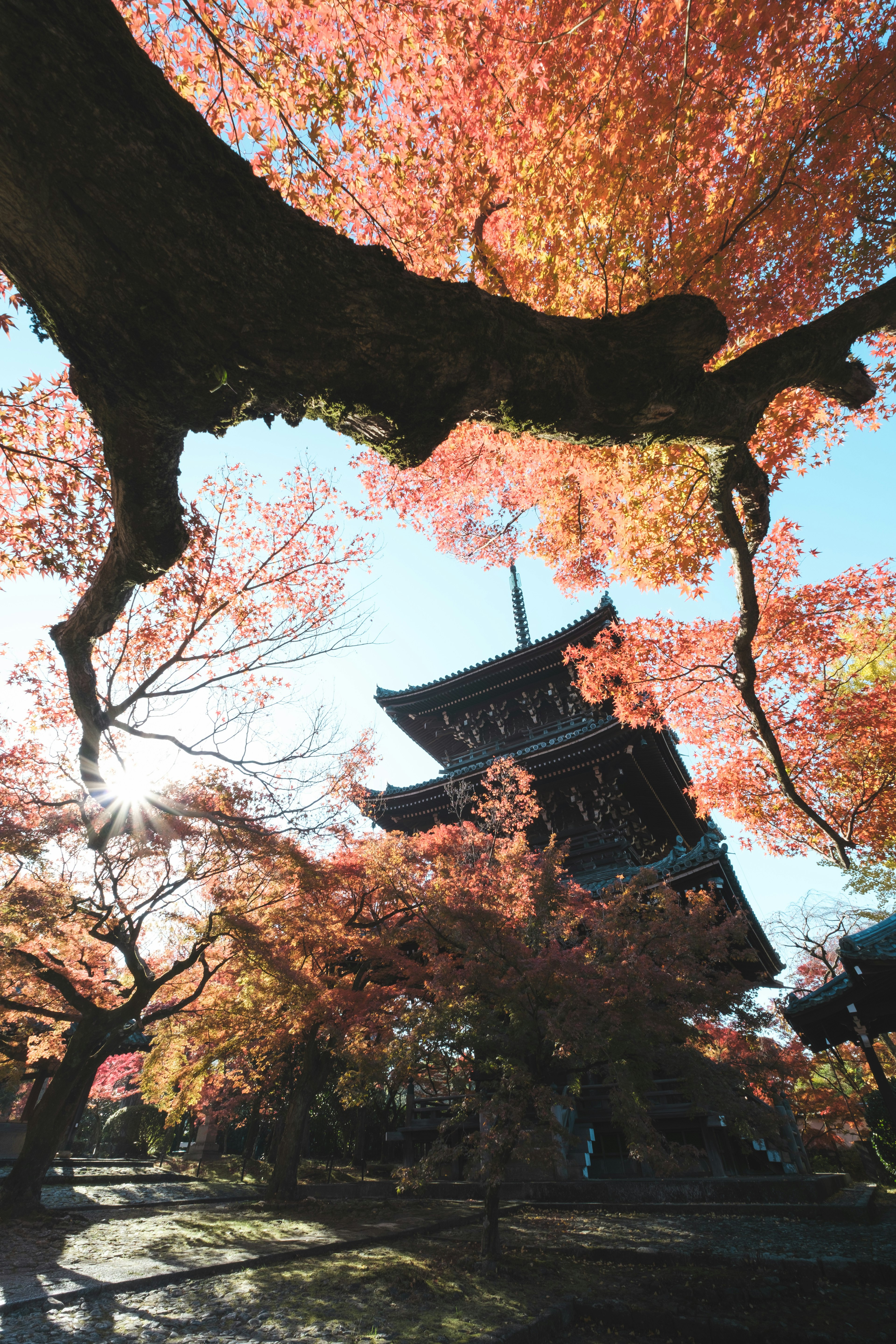 秋の紅葉と古い寺院の景色