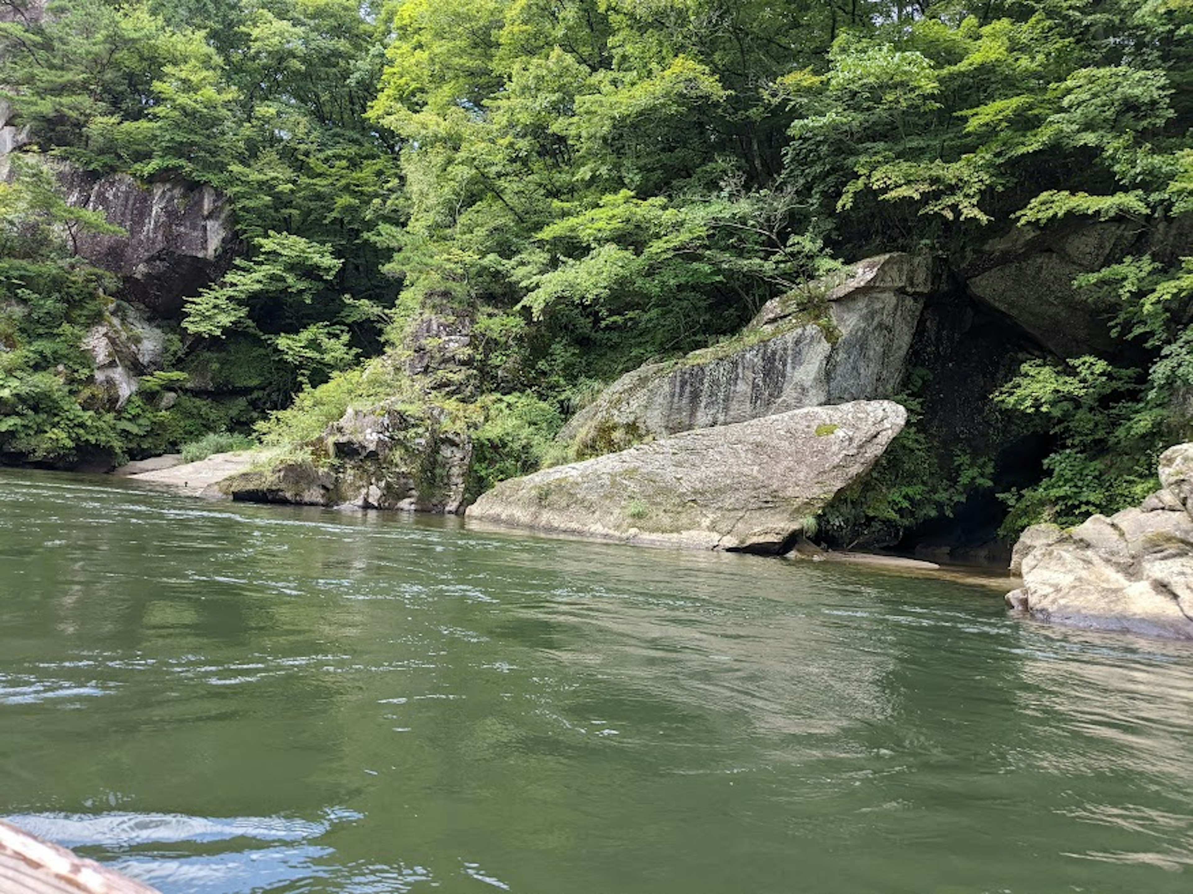 Scène de rivière entourée de verdure luxuriante grandes roches au bord de l'eau