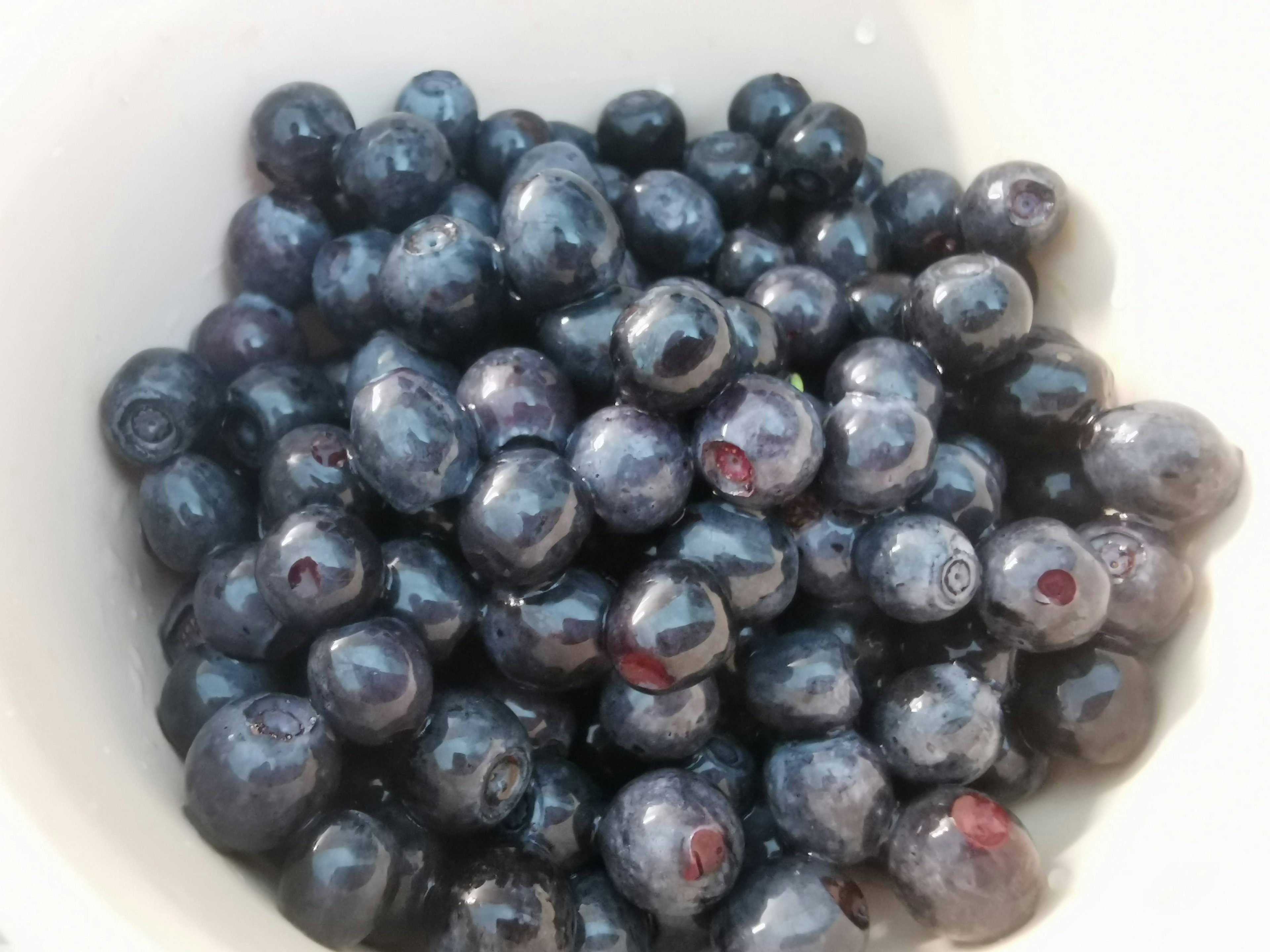 Fresh blueberries piled in a white bowl