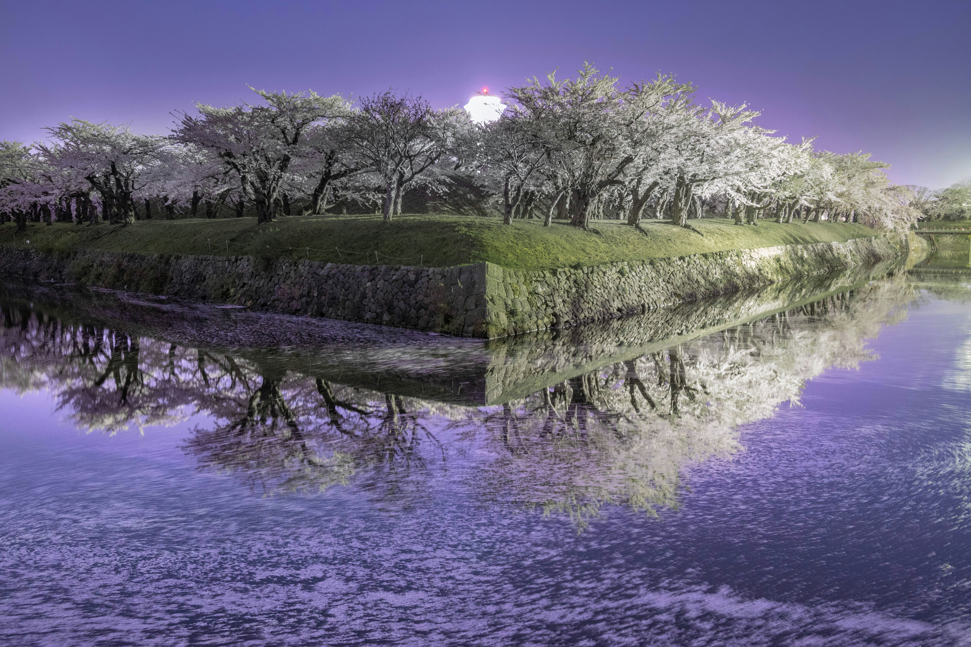 Vista escénica de árboles de cerezo a lo largo de un río con reflejos