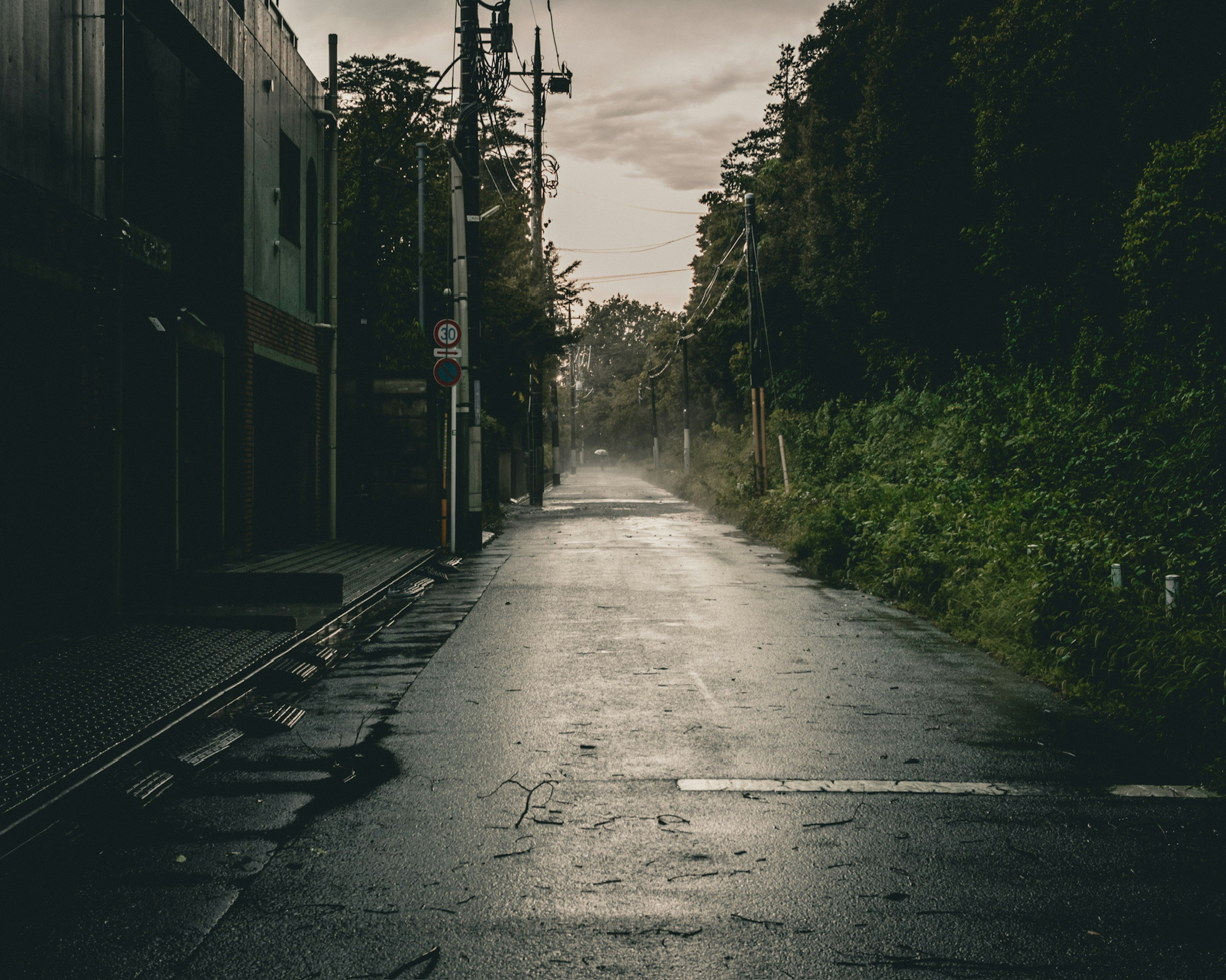 Jalan tenang dengan trotoar basah dan vegetasi lebat