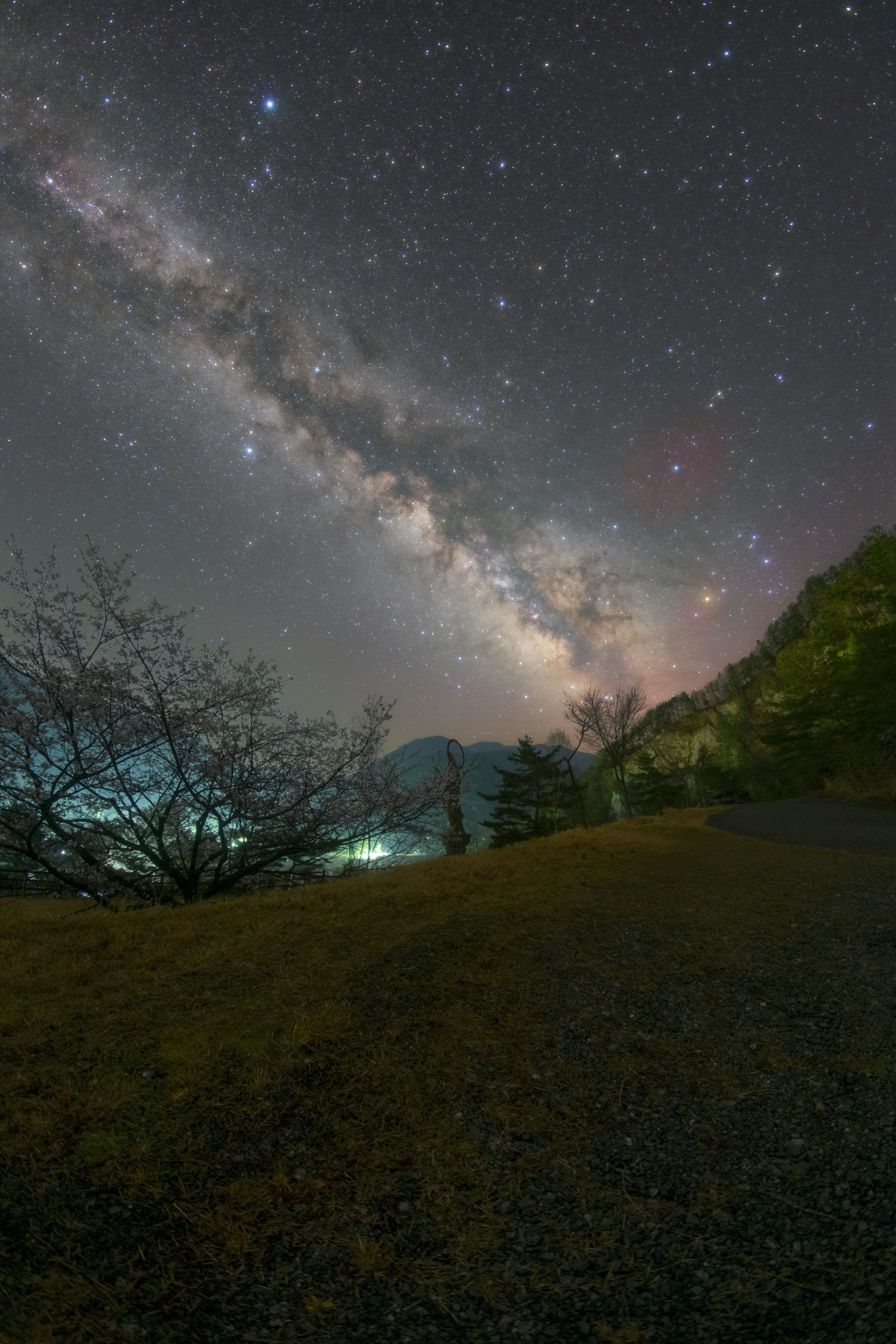 Paysage sous un ciel étoilé avec la Voie lactée et des montagnes