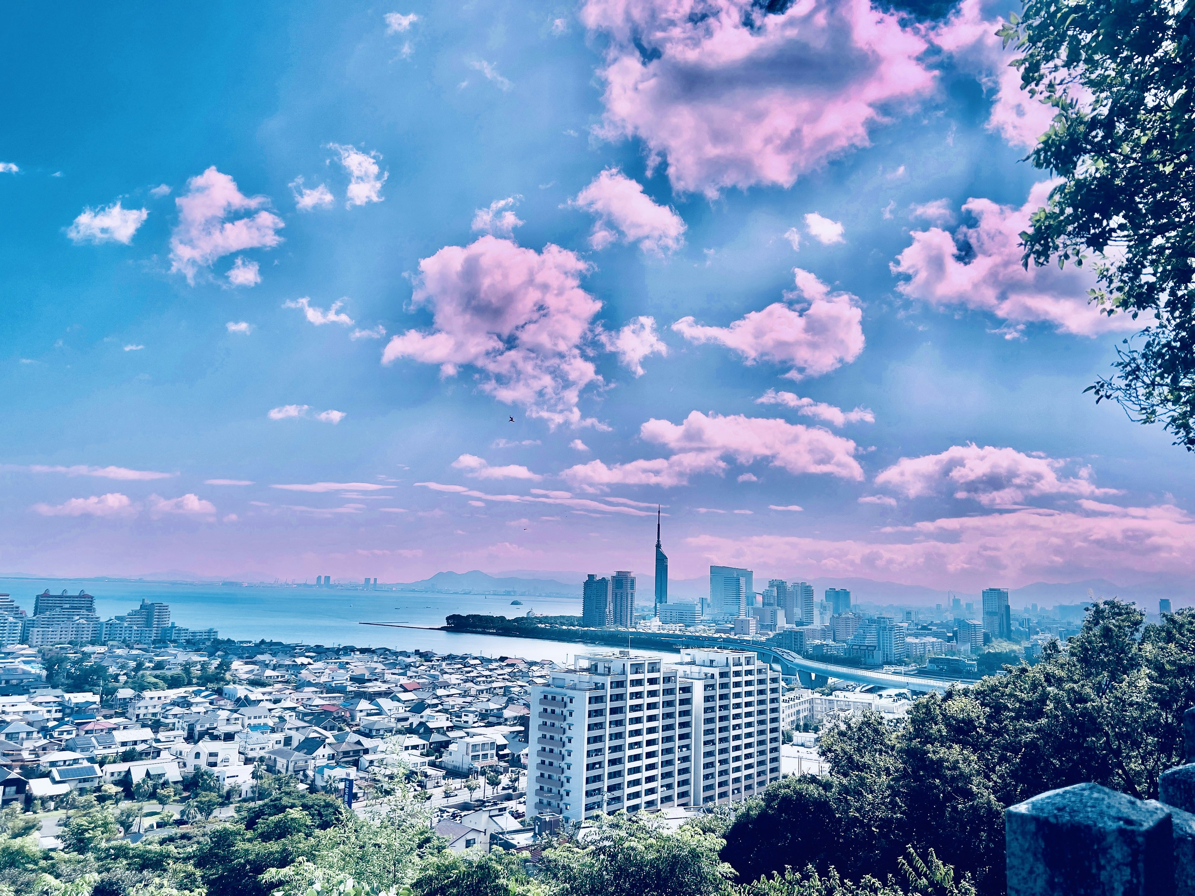 Paesaggio urbano vibrante con cielo blu e nuvole rosa