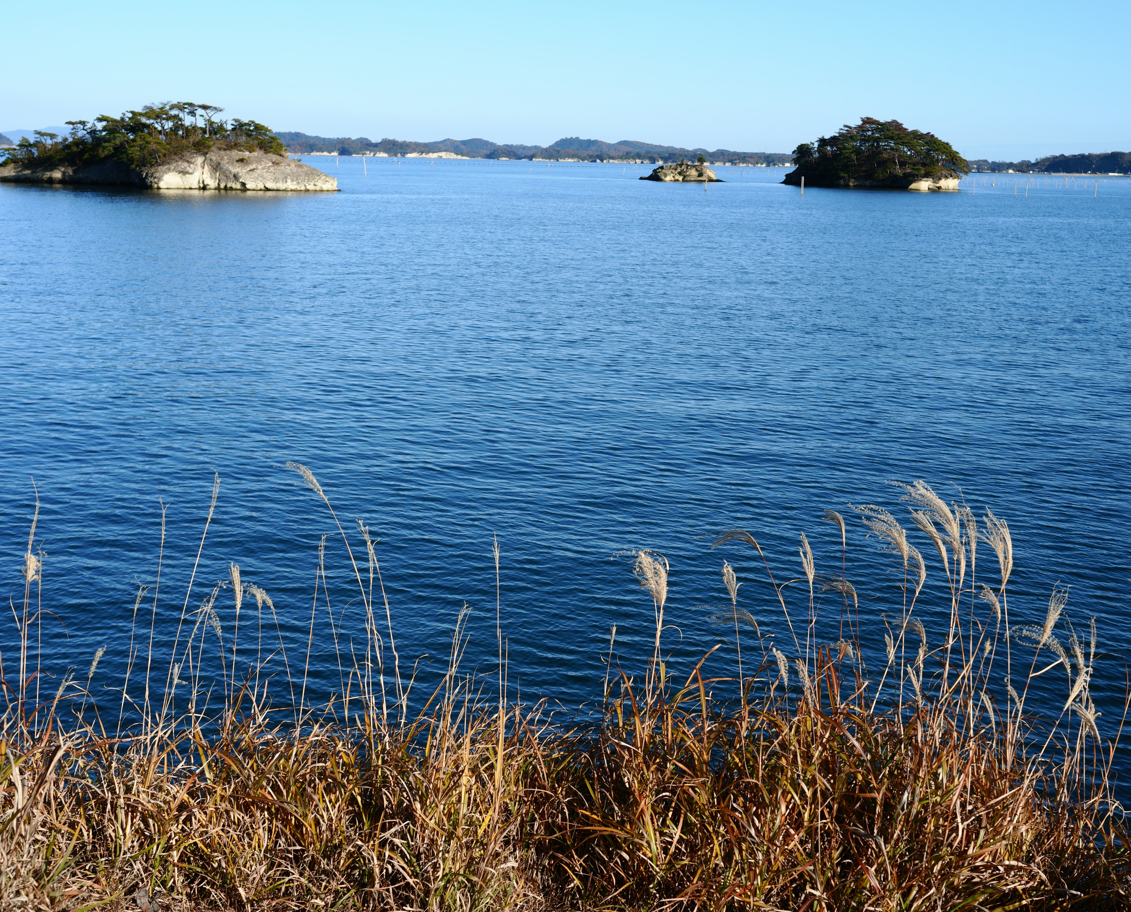 青い海と小さな島々が見える風景草が生えた岸辺