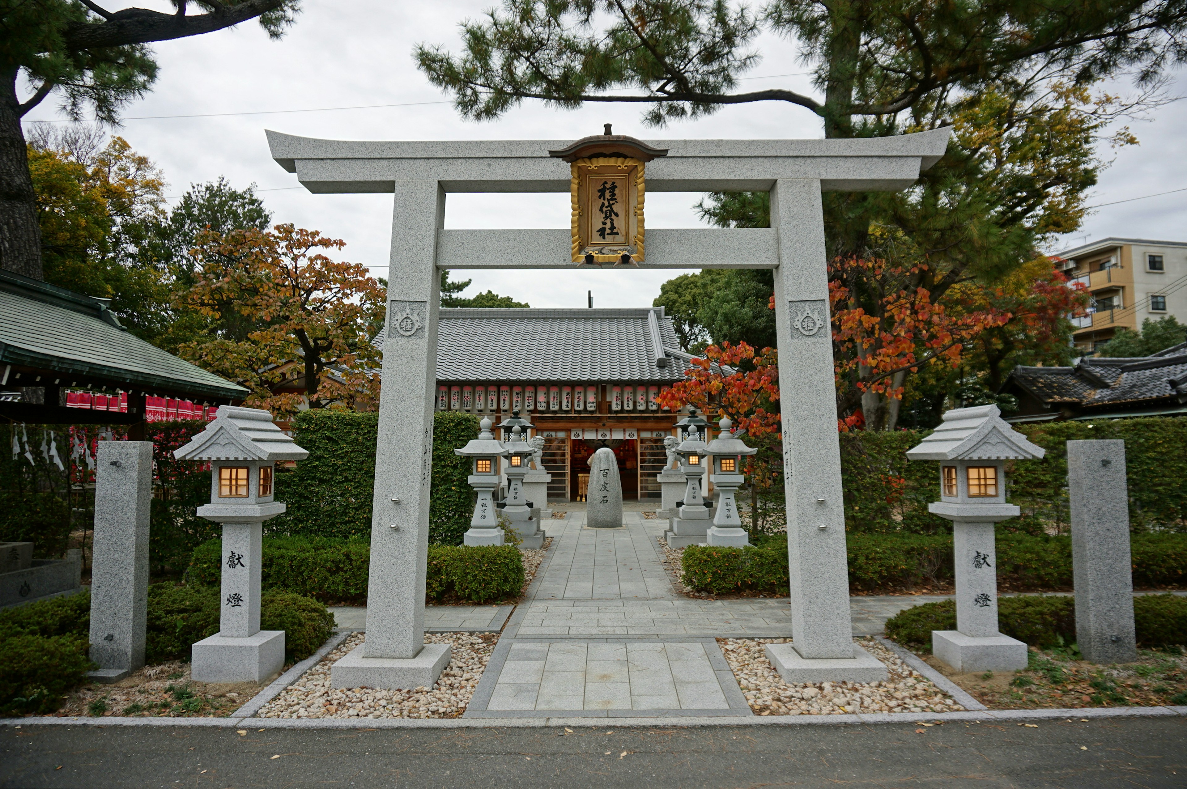 Stone torii gate and lanterns at a shrine entrance Autumn foliage in the background Calm atmosphere