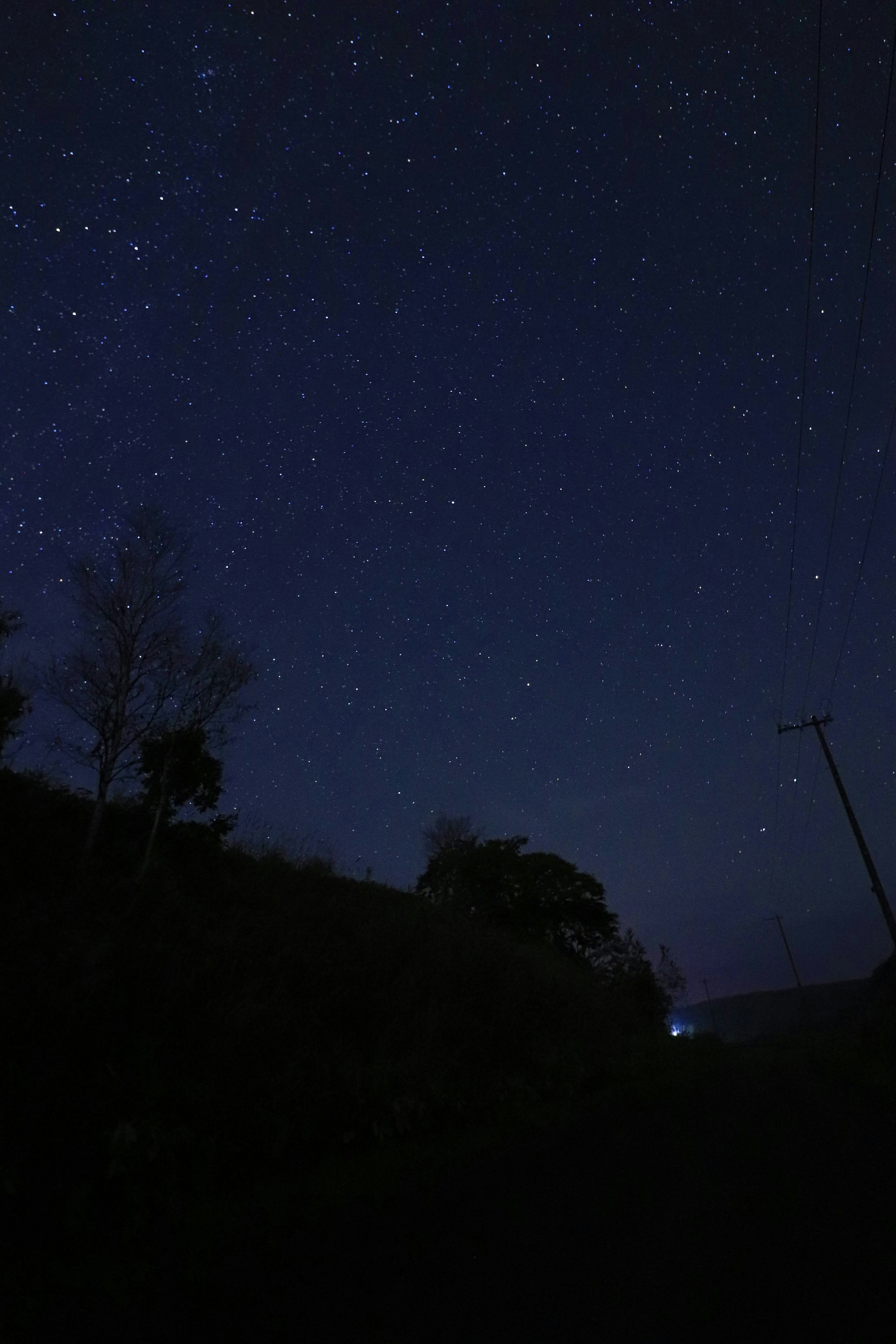 Amplio cielo estrellado con primer plano oscuro