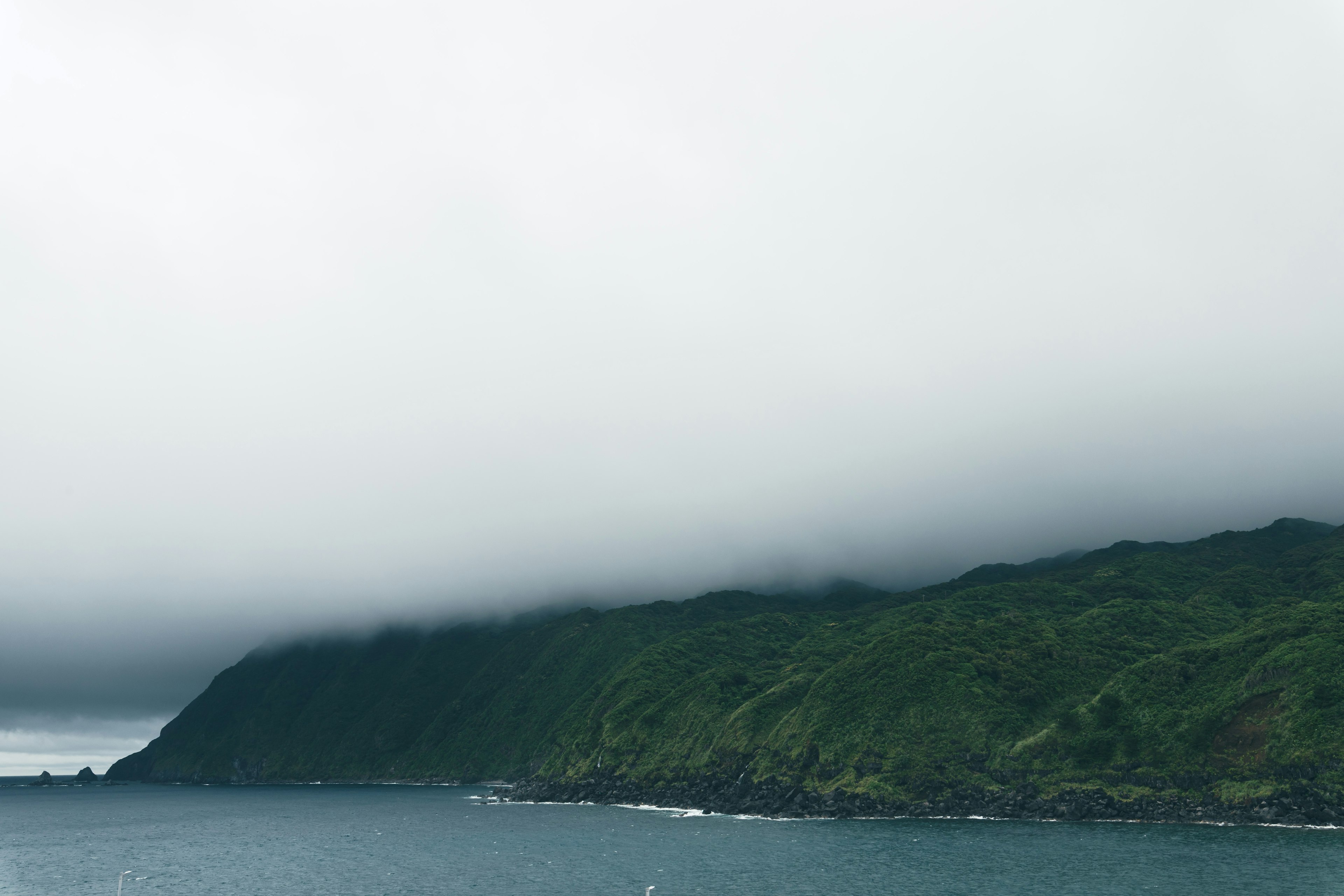 霧に覆われた緑の丘と海の景色