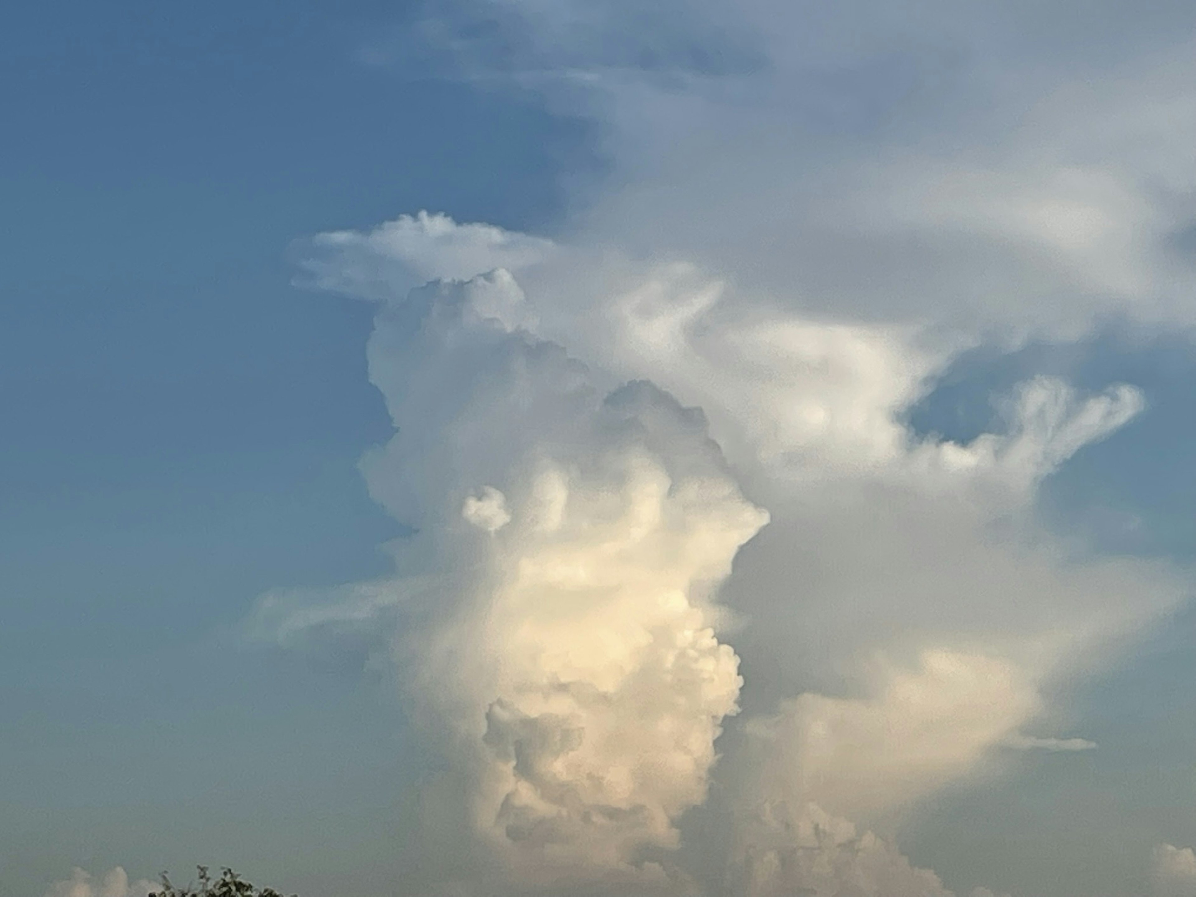 Formations nuageuses uniques sur un ciel bleu créant un paysage frappant