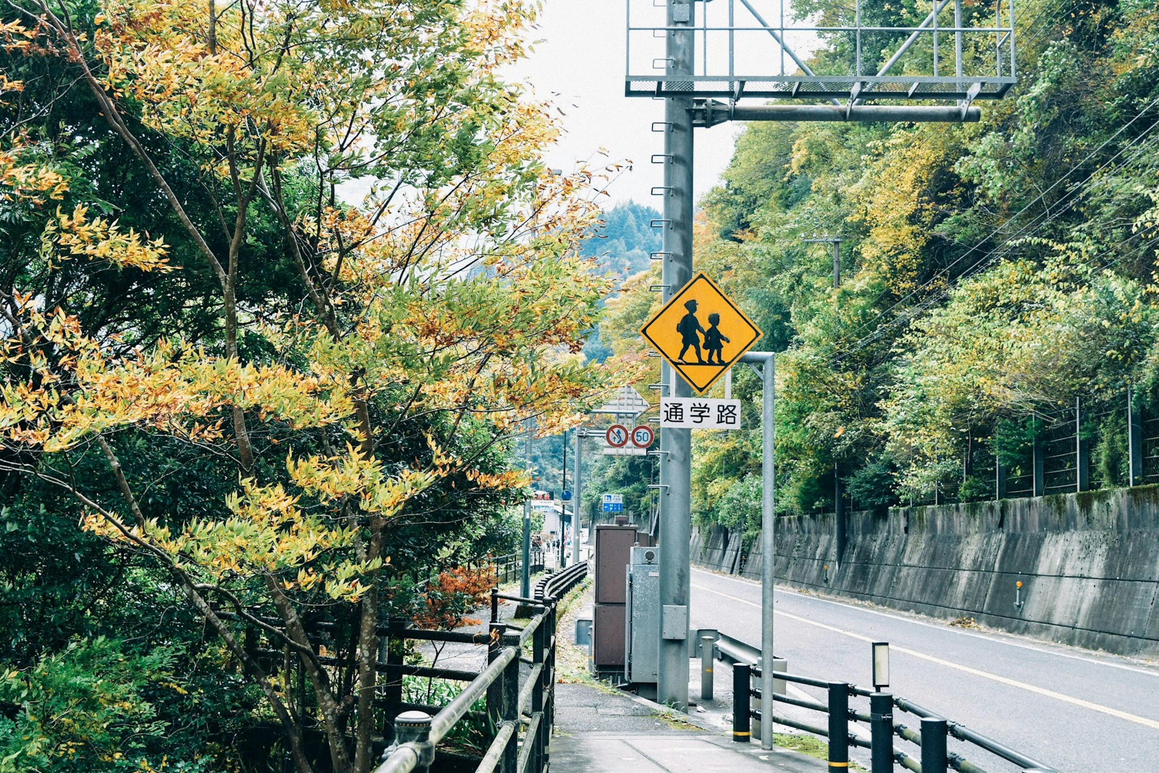 도로 옆 보행자 경고 표지판과 녹색 나무