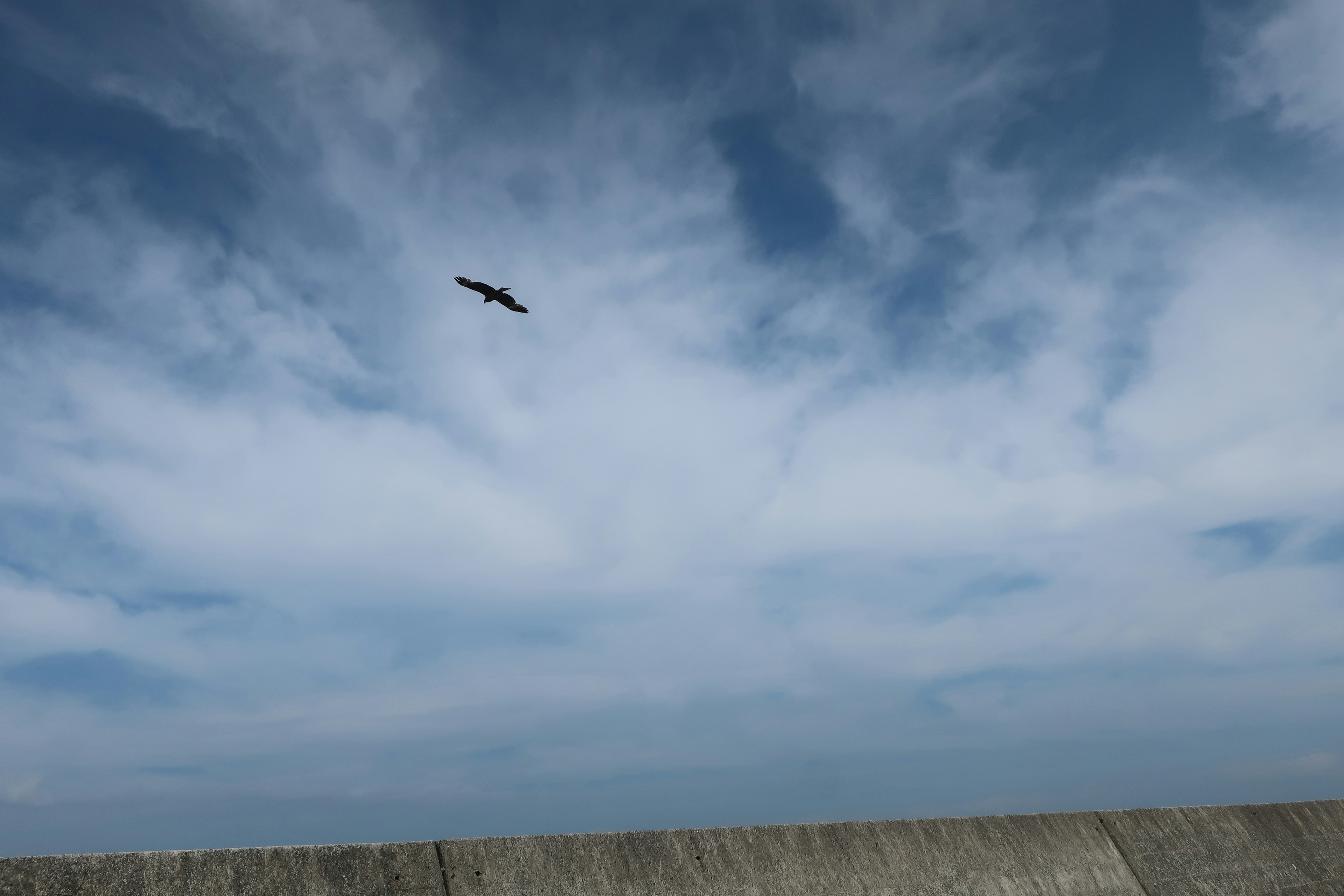 Un uccello che vola in un cielo blu con nuvole