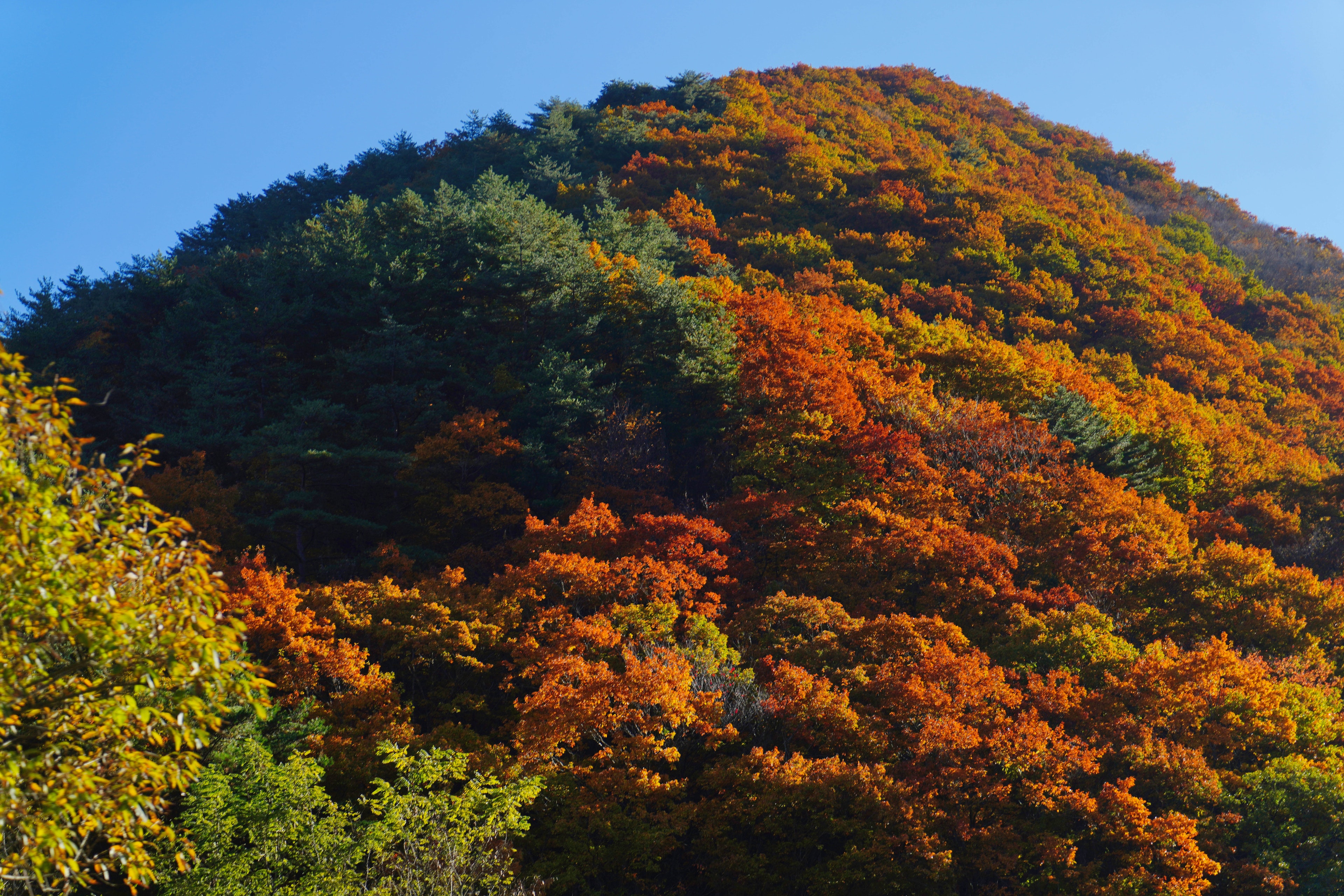 Paisaje montañoso adornado con colores de otoño