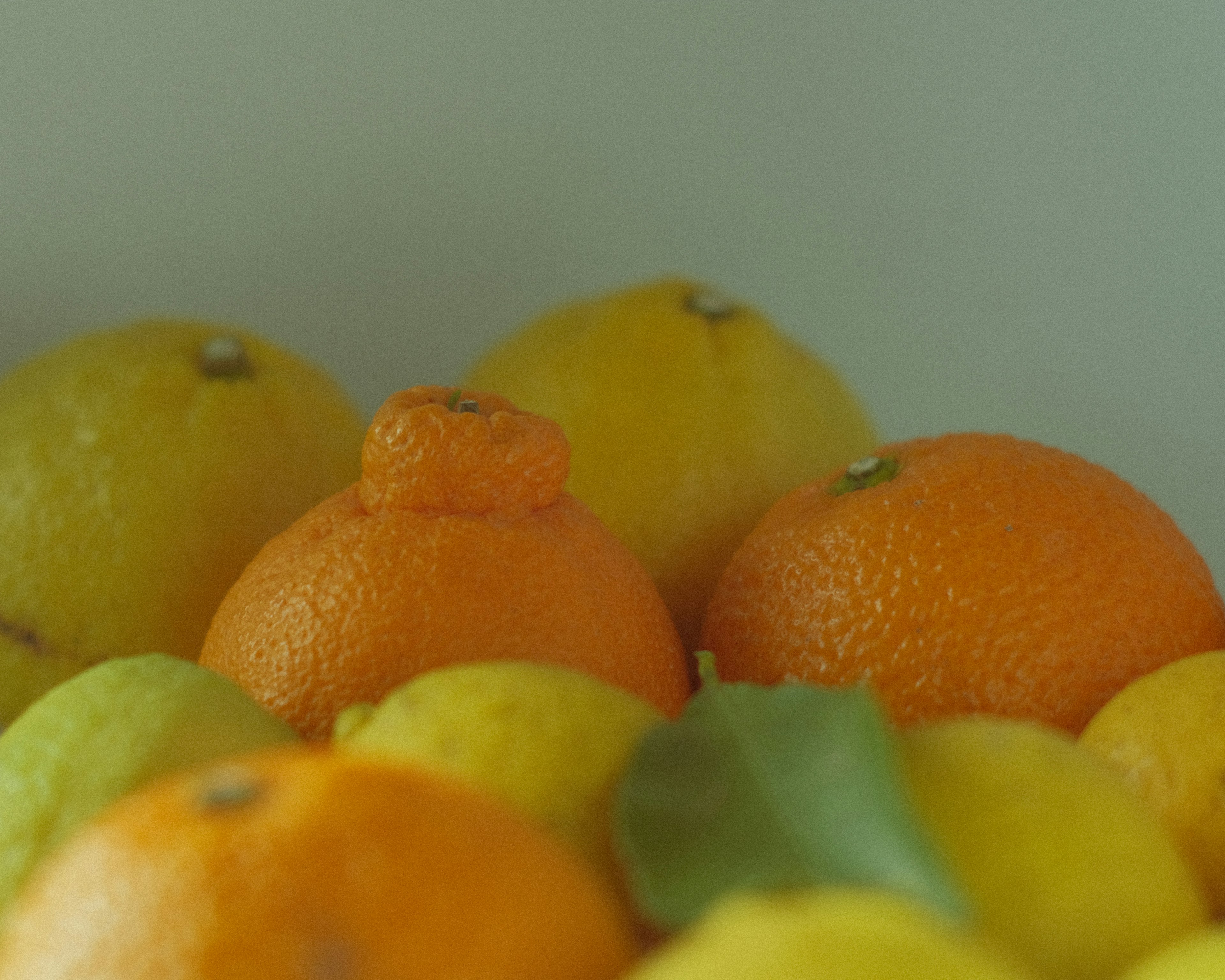 Vibrant arrangement of oranges and lemons