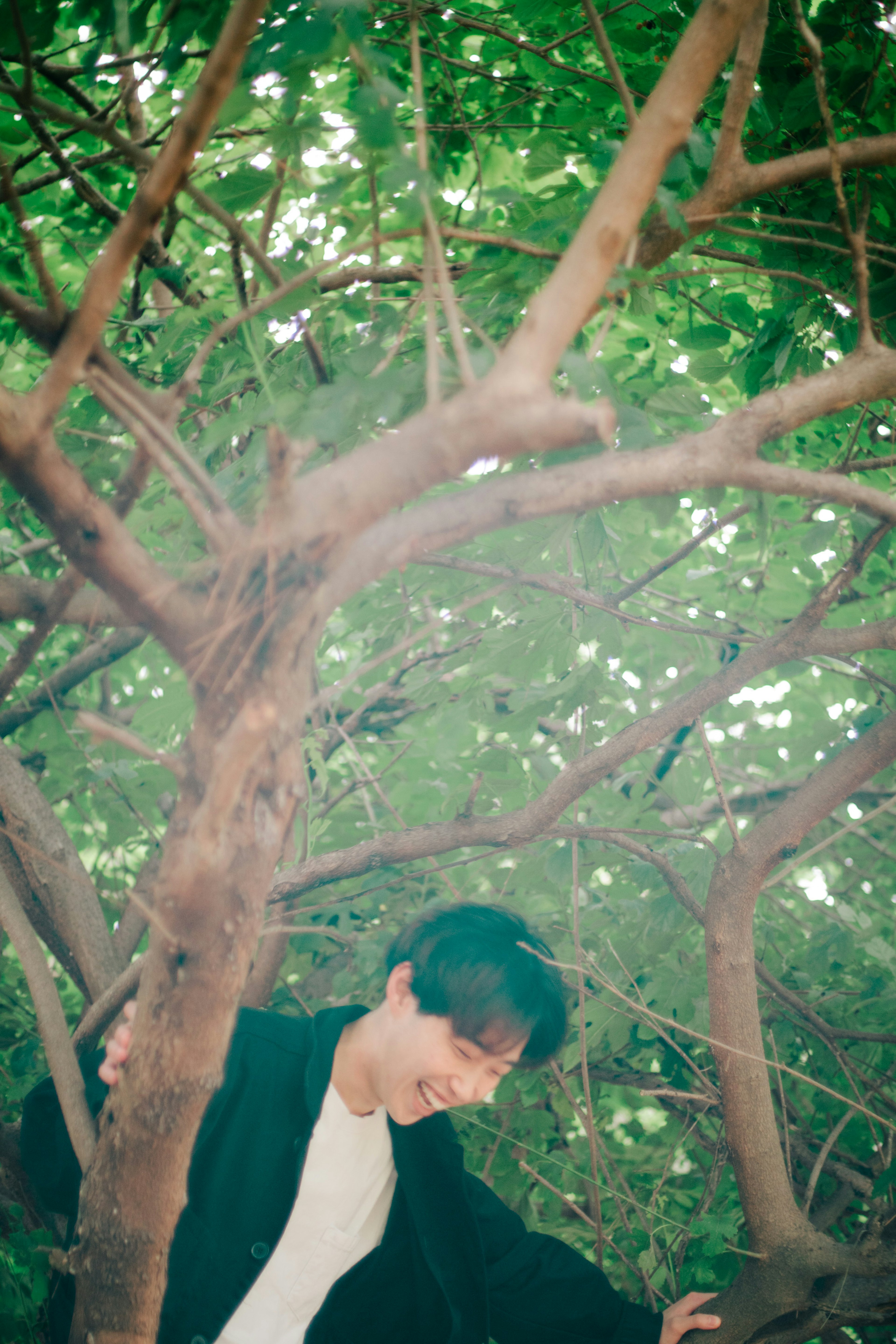 Jeune homme souriant en jouant parmi les branches d'un arbre vert