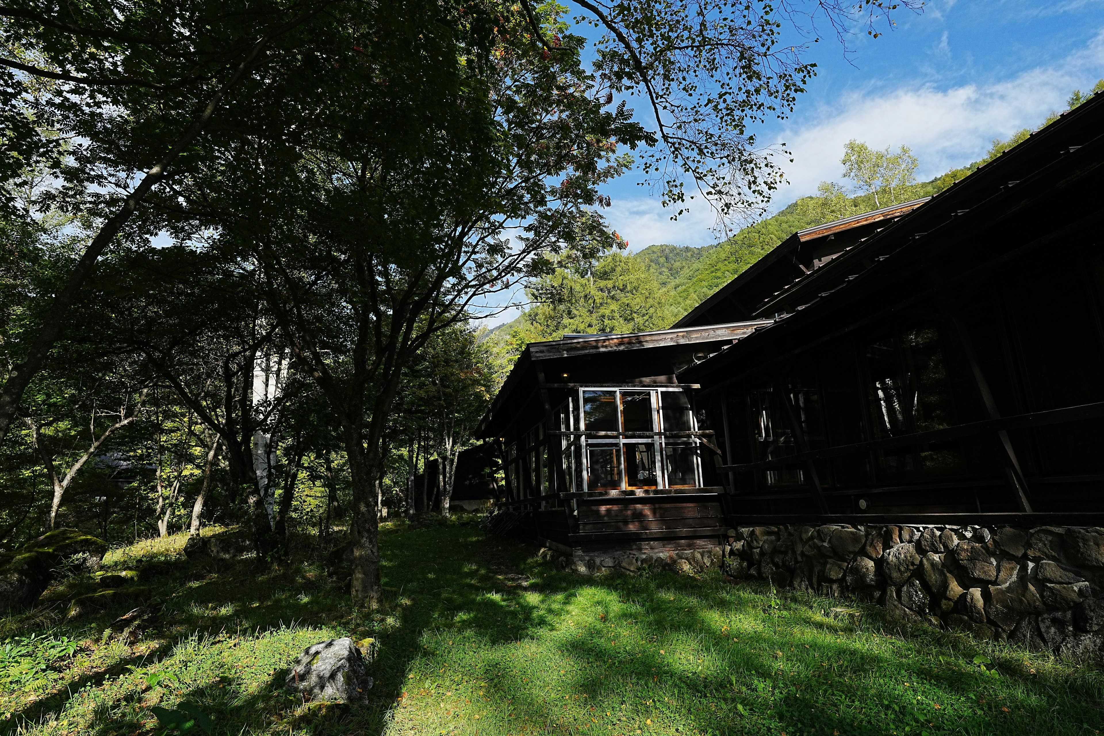 Maison en bois entourée de verdure luxuriante et d'arbres