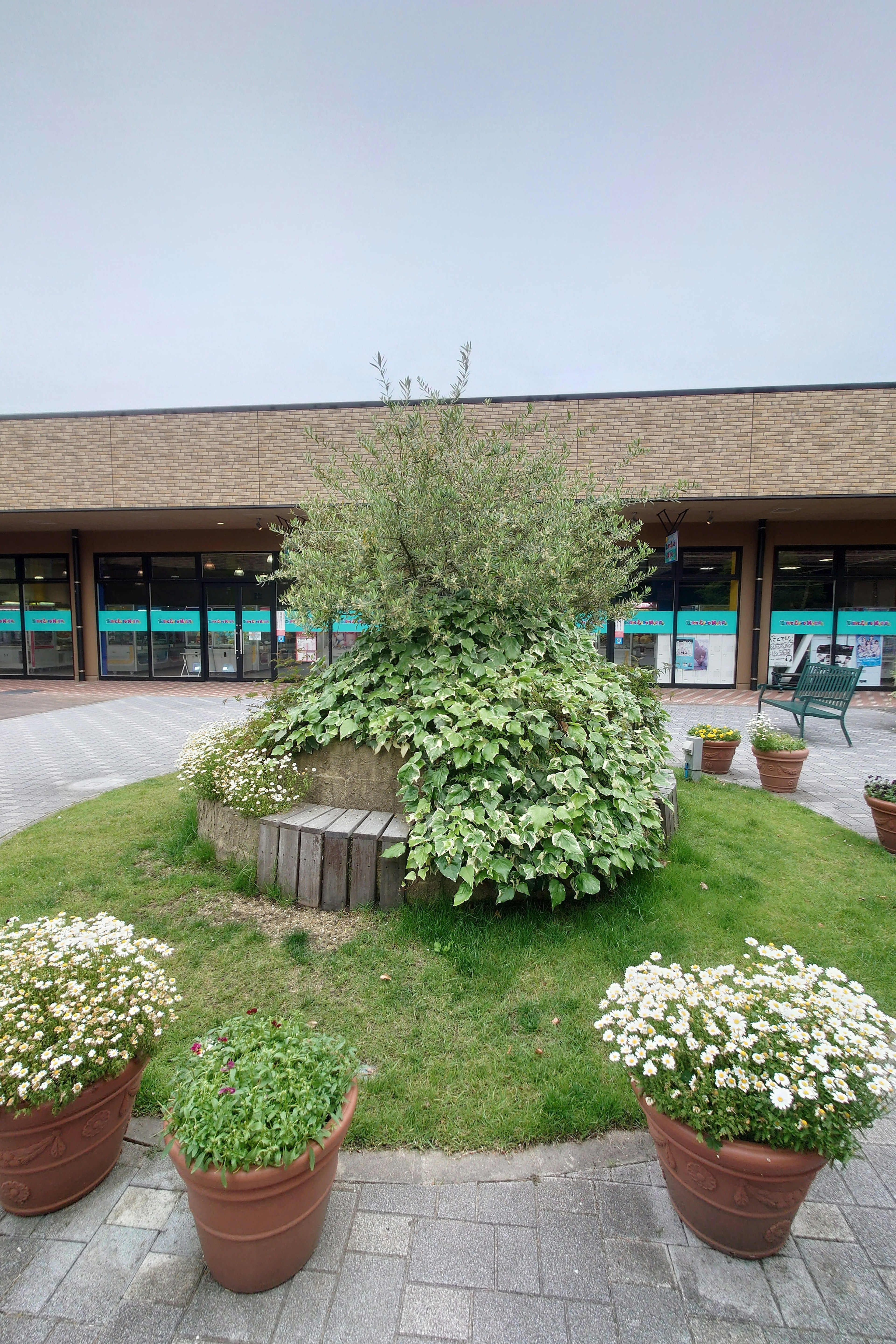 Lush greenery with potted flowers in a landscaped area