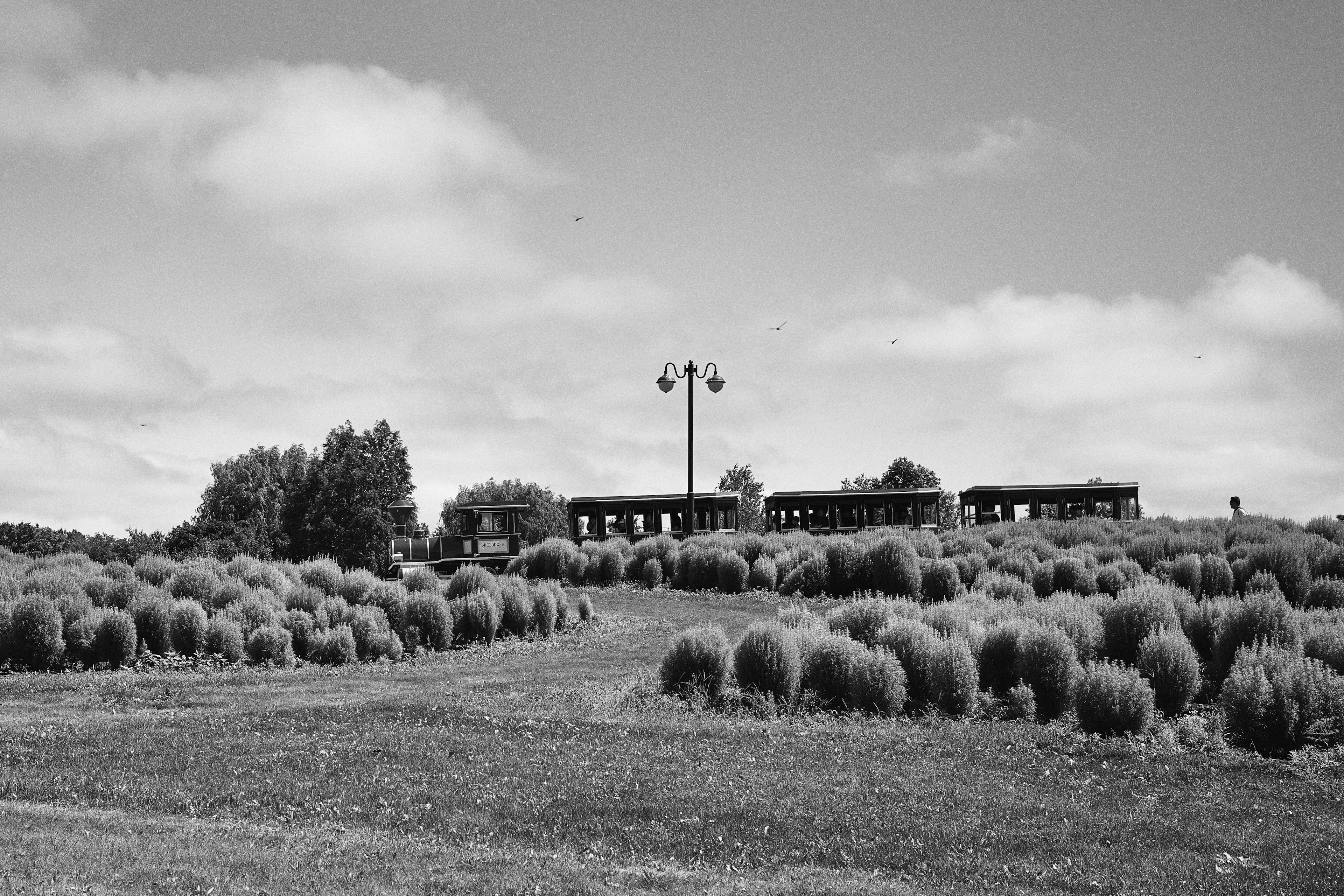 Schwarzweiß-Landschaftsfoto mit grasbewachsenen Feldern und niedrigen Sträuchern sowie einem alten Gebäude im Hintergrund