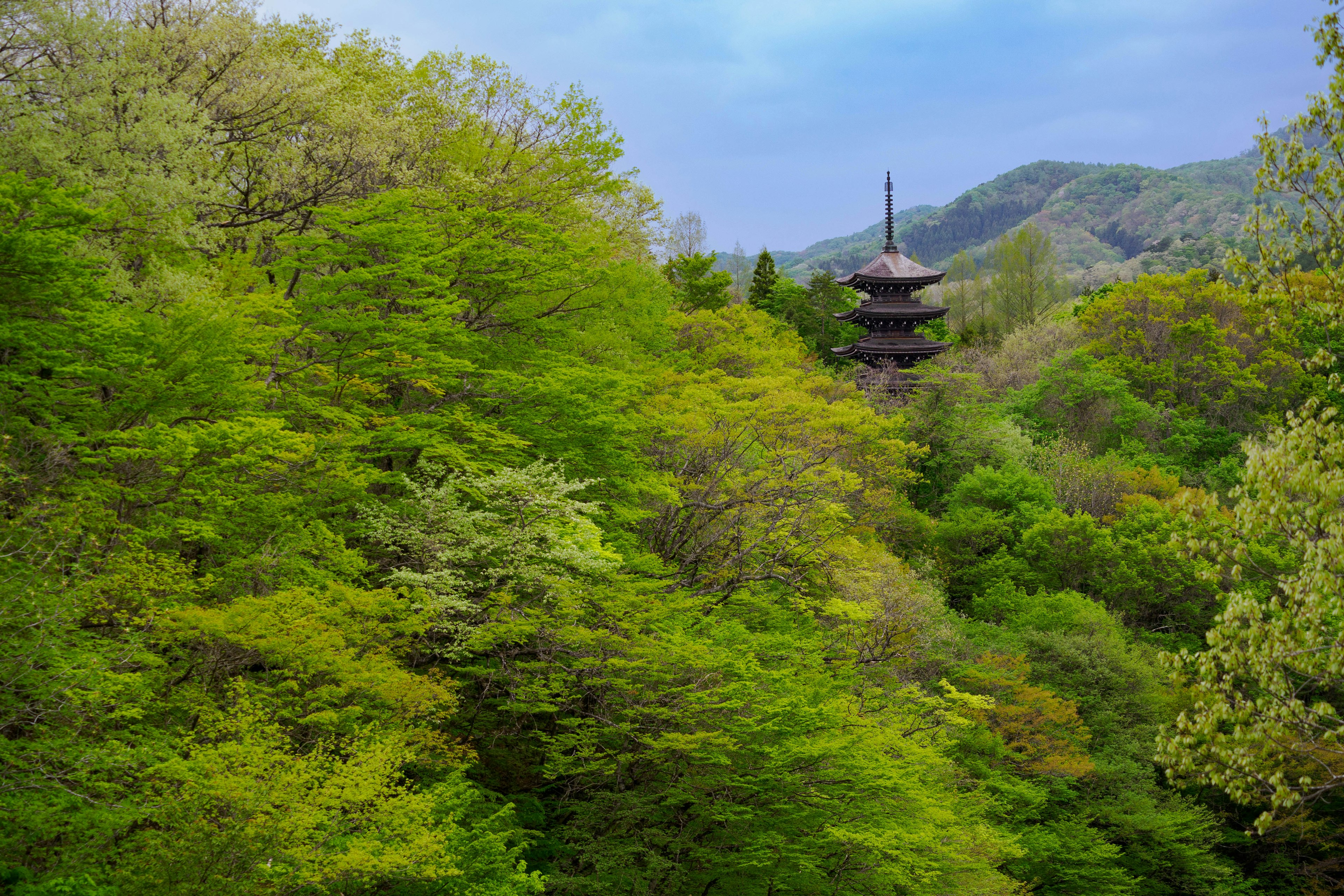 Vista panoramica di una pagoda circondata da alberi verdi lussureggianti