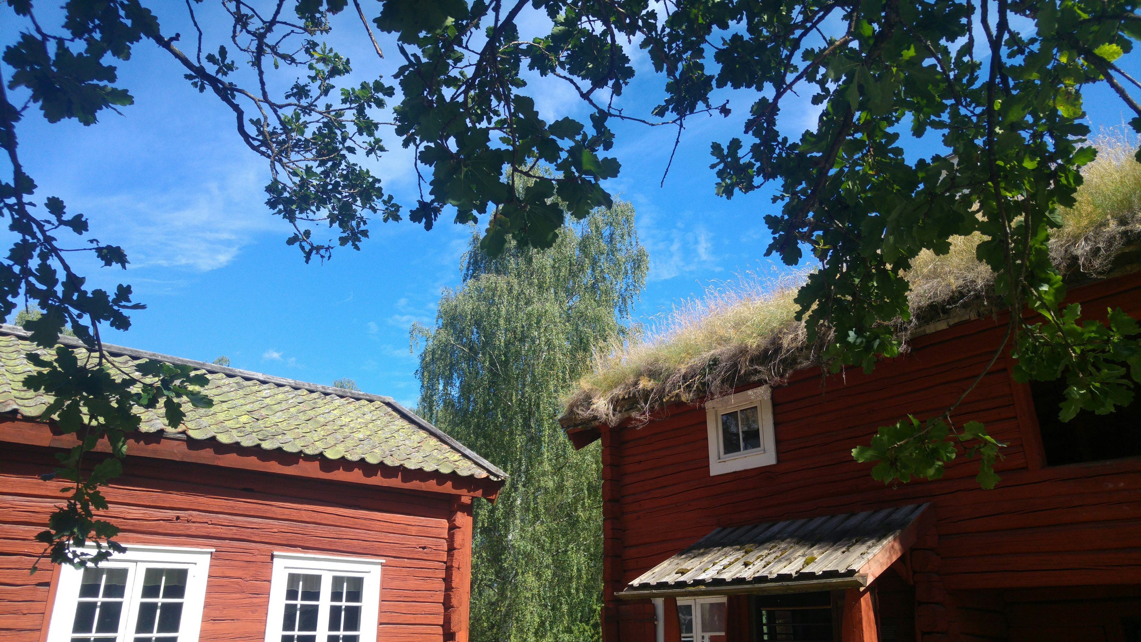 Zwei traditionelle rote Häuser, umgeben von grünen Bäumen unter einem blauen Himmel