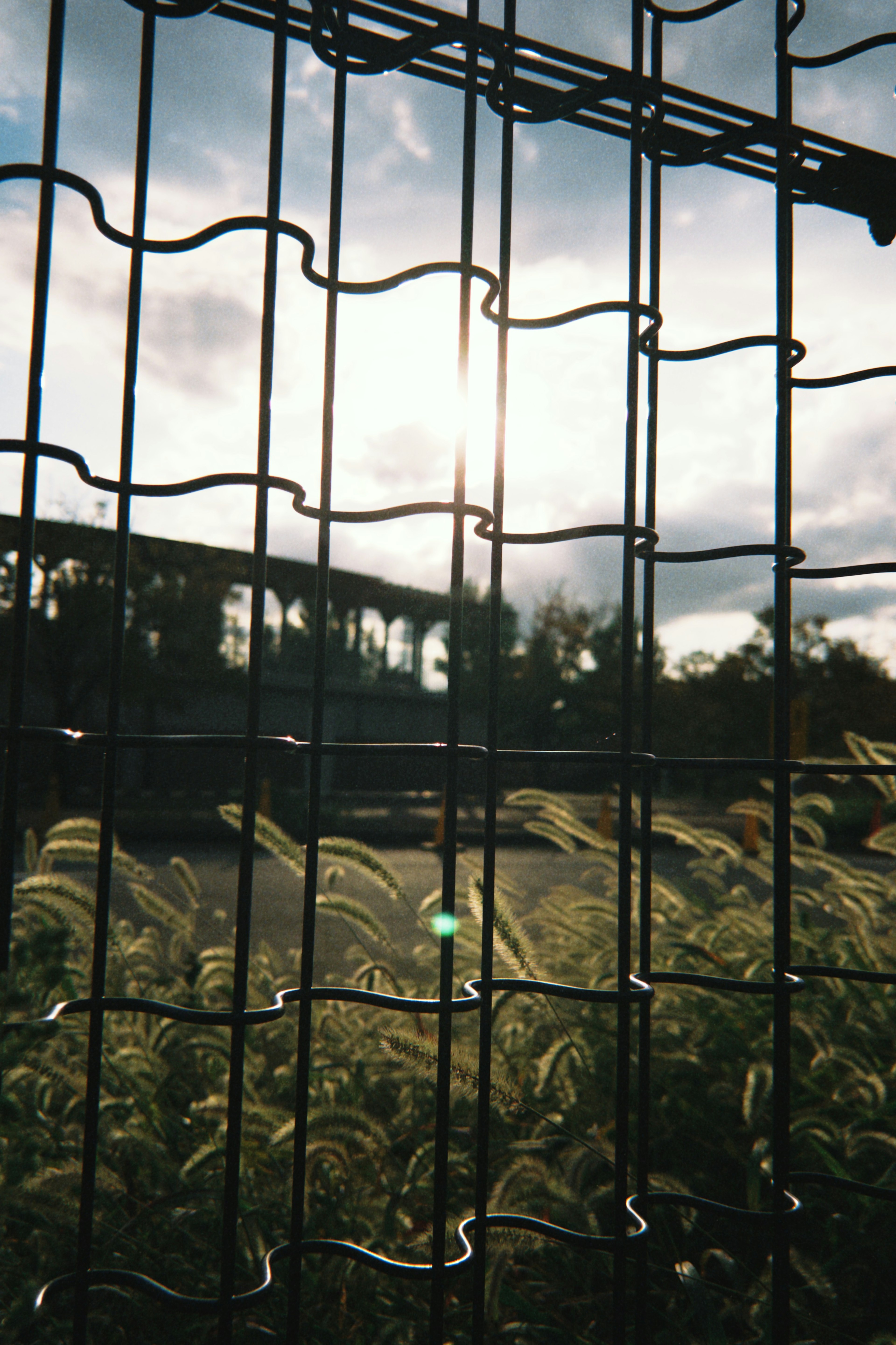 View of sunset and grassland through a fence