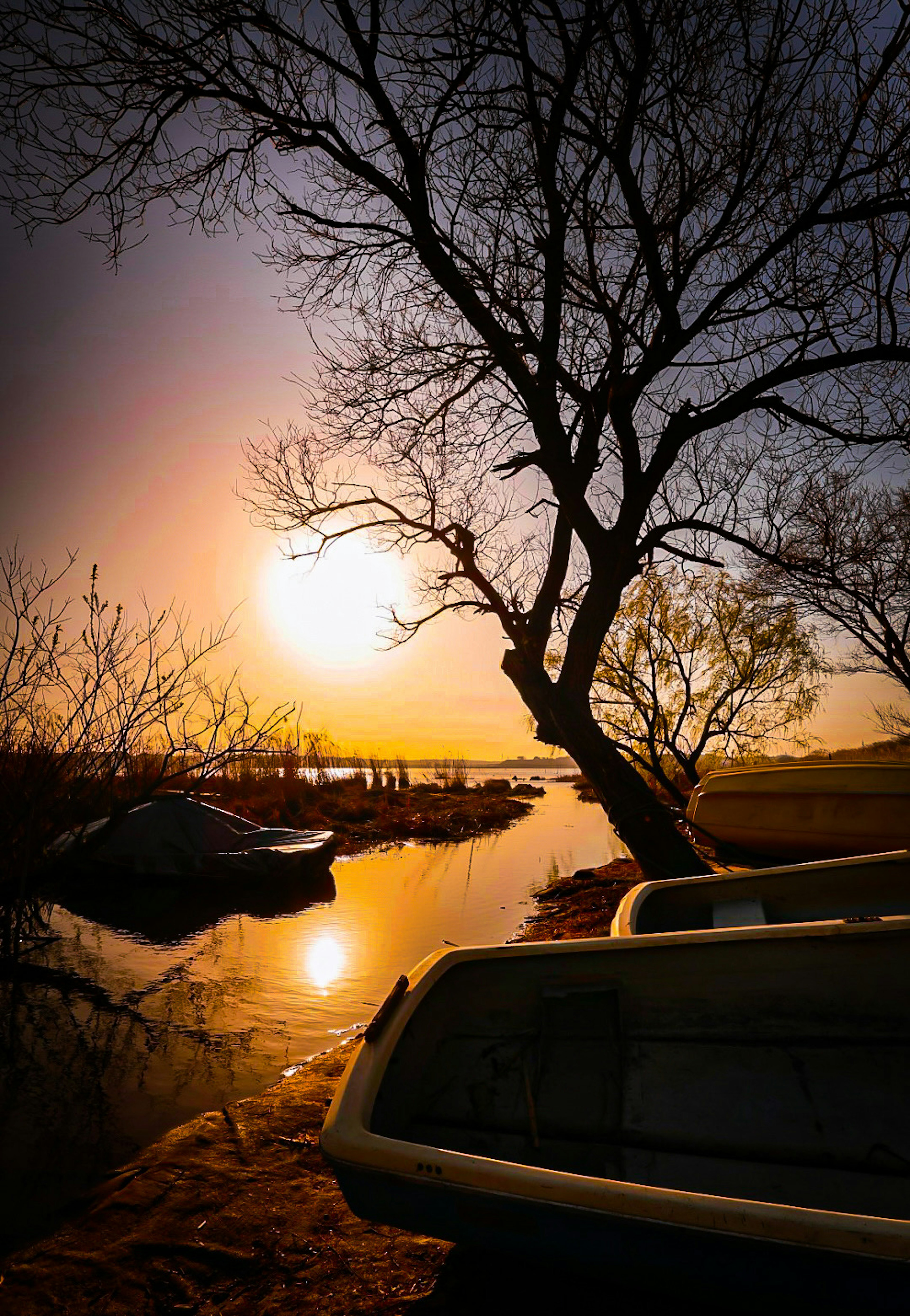 Silhouette von Bäumen mit Sonnenuntergang, der sich im Wasser spiegelt