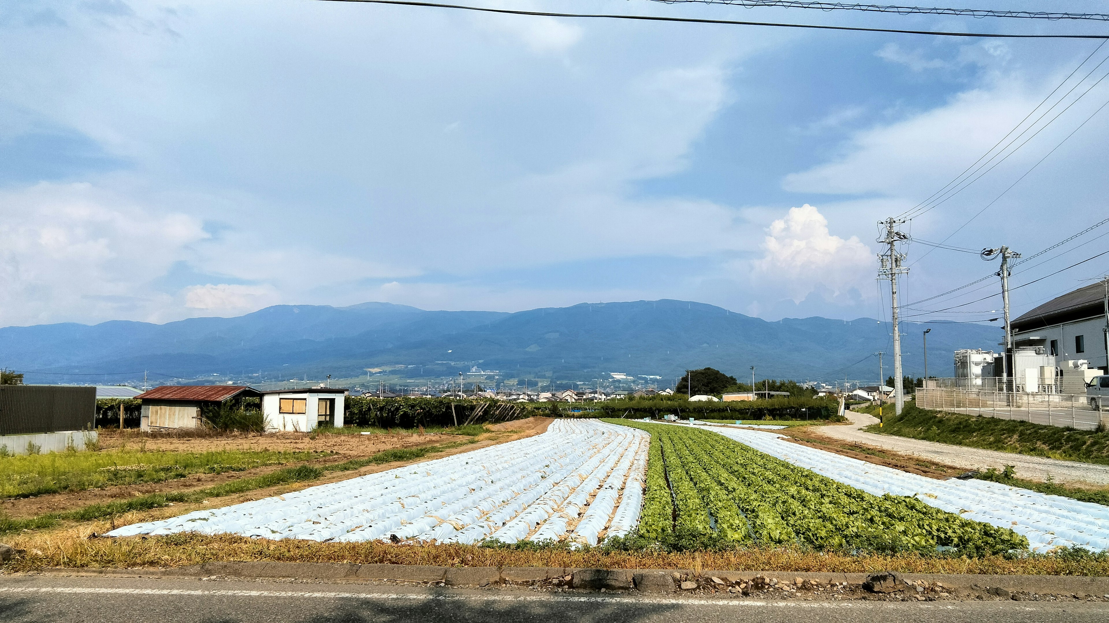 A landscape of farmland and mountains under a blue sky with white clouds