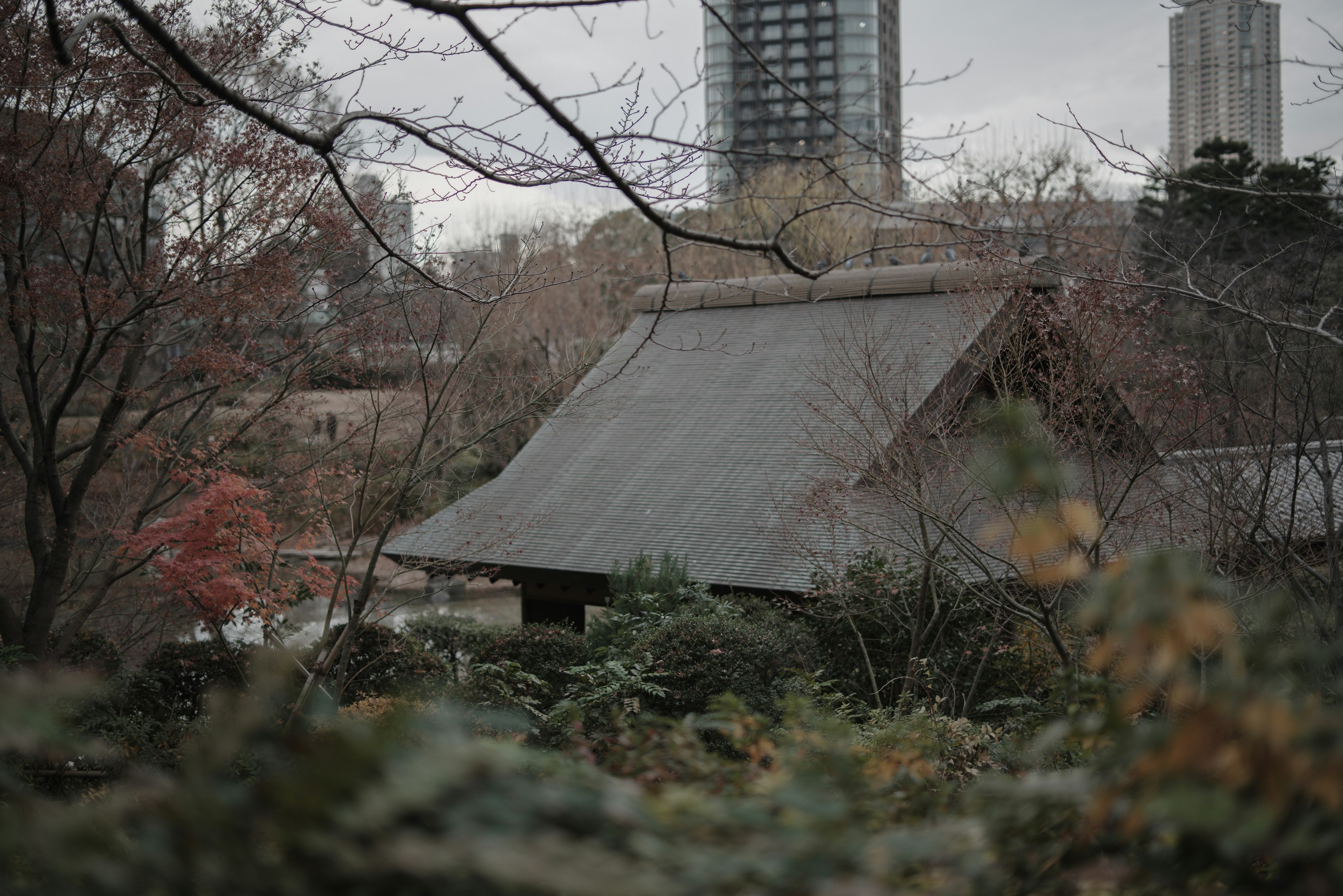 Dach eines traditionellen japanischen Hauses umgeben von Natur in einem städtischen Umfeld