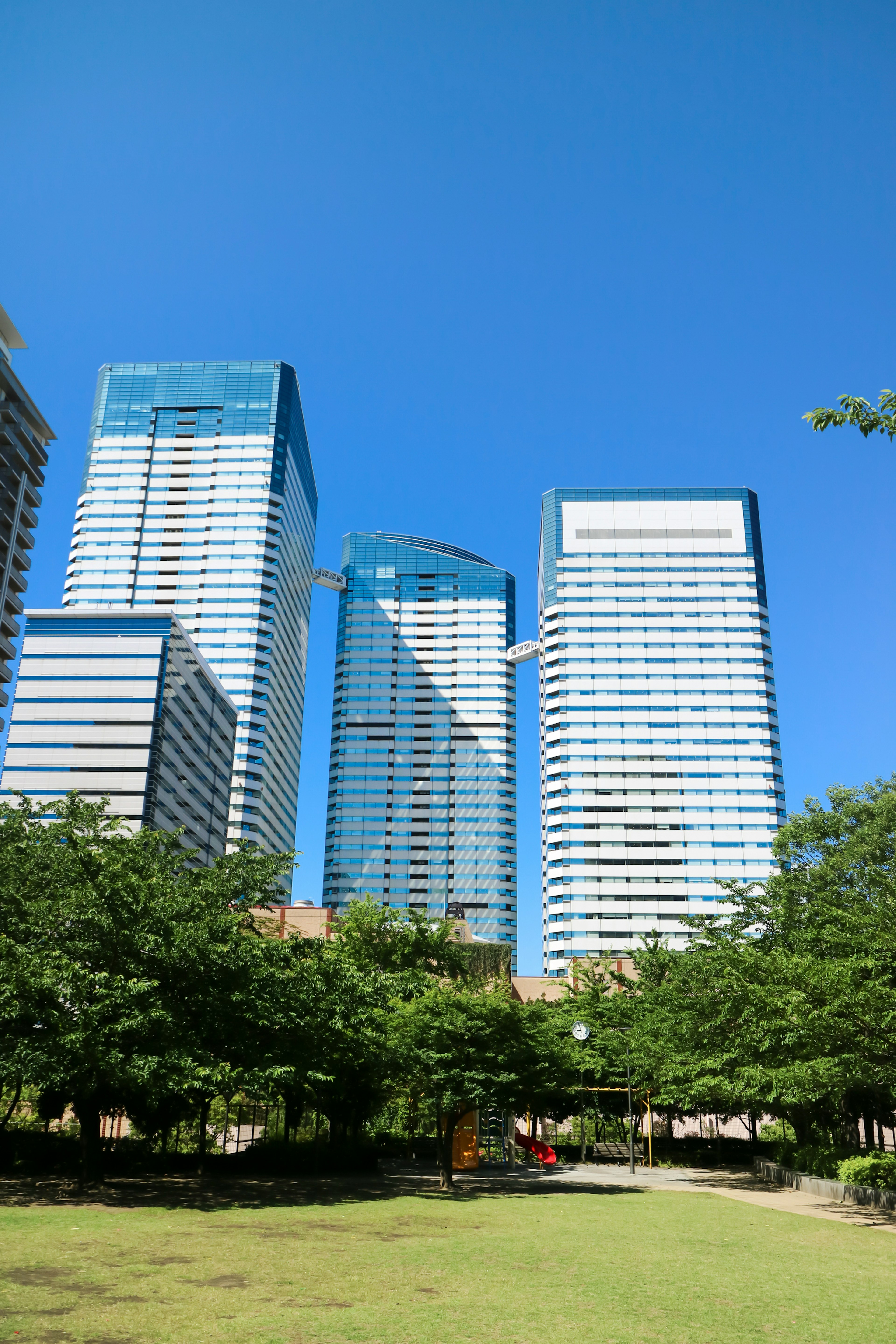 Edificios altos bajo un cielo azul claro con un parque verde